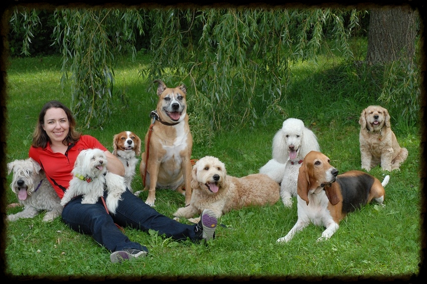 The Pack