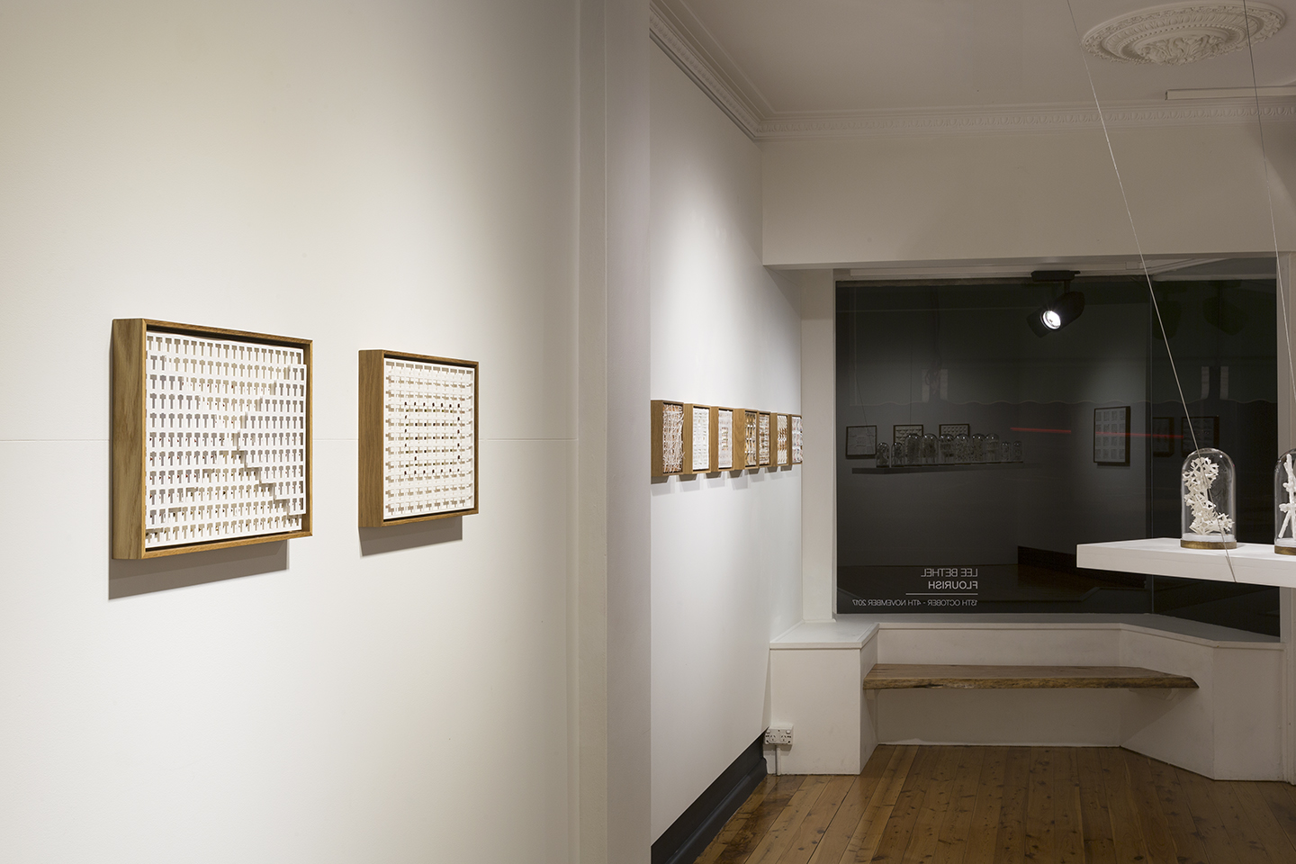  Installation view off Lee Bethel’s exhibition  Flourish  14 Oct – 5 Nov 2017, The Egg &amp; Dart, Thirroul 