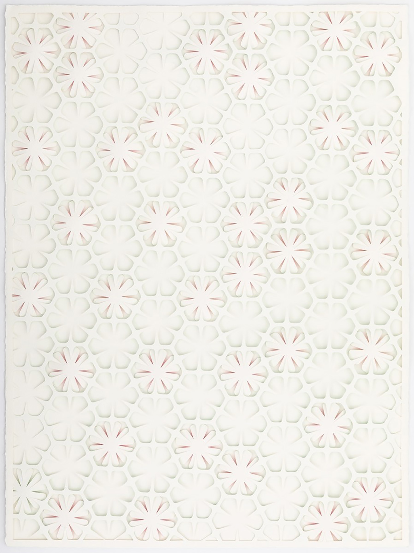 Radiolarians