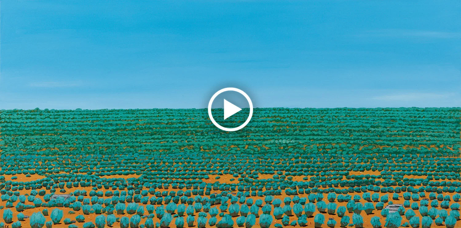 Frank Nowlan | Now and Then Film Series - On The Plain