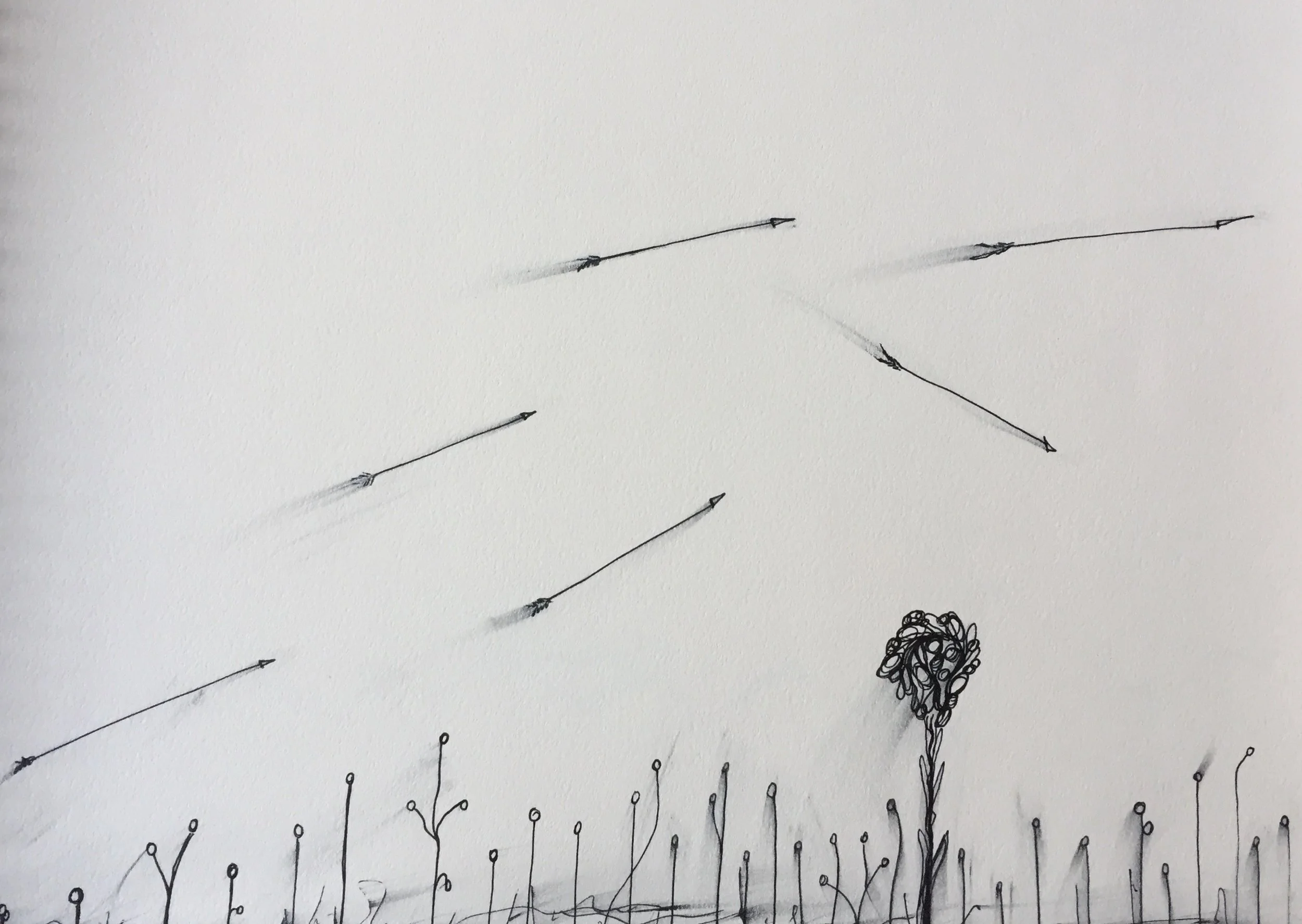 FullSizeRender 39.jpg