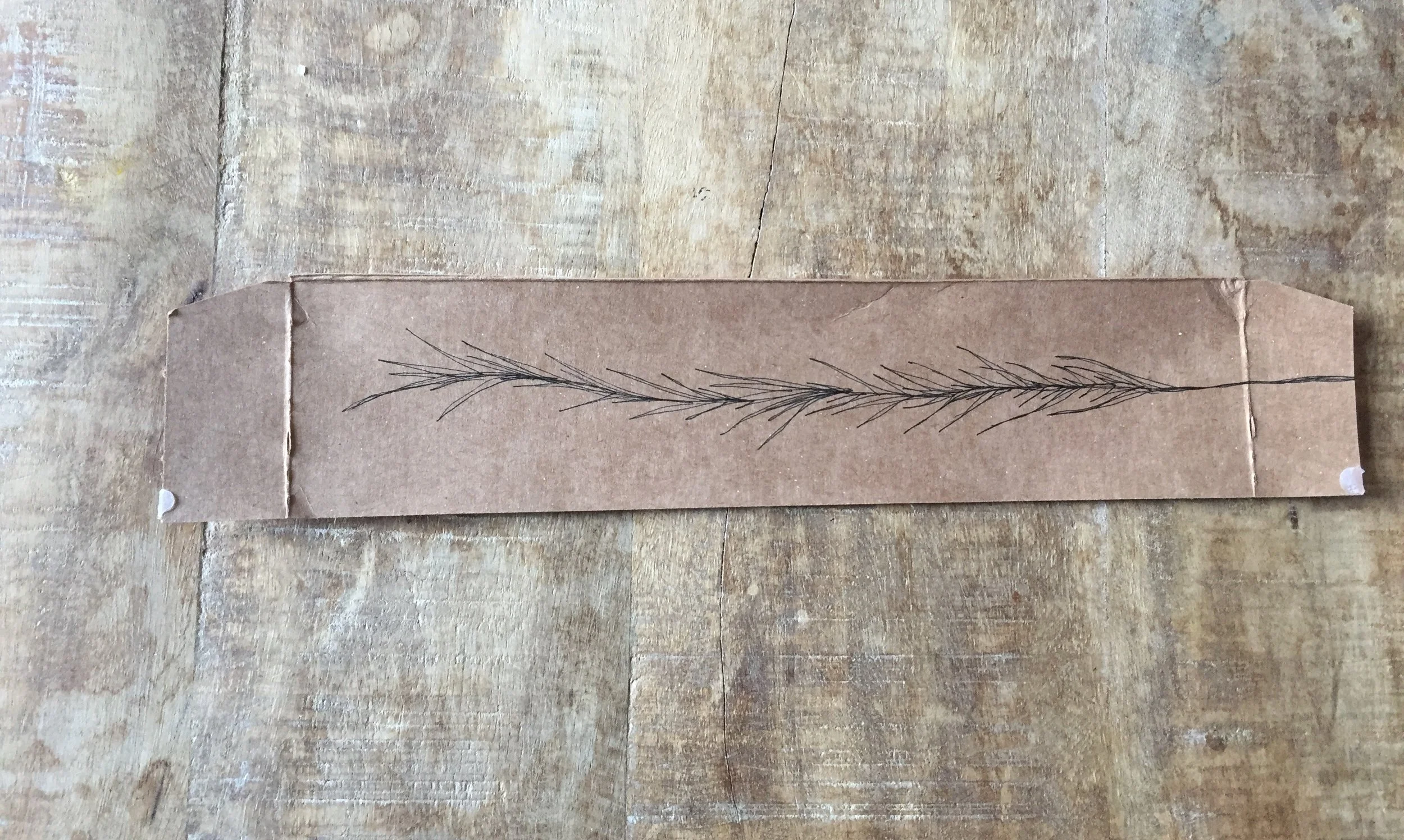 FullSizeRender 9.jpg