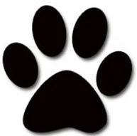 cat's paw.jpg