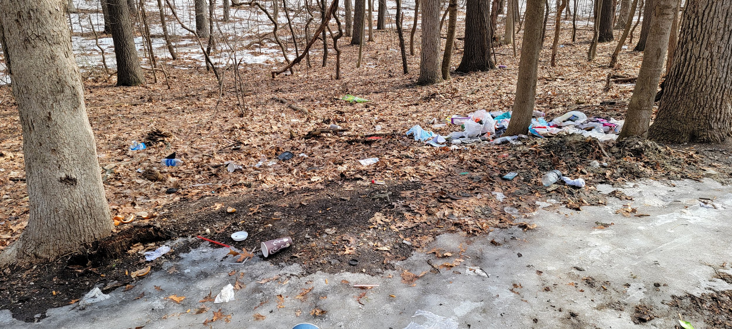 Richmond Park trash 3-2-22.jpg