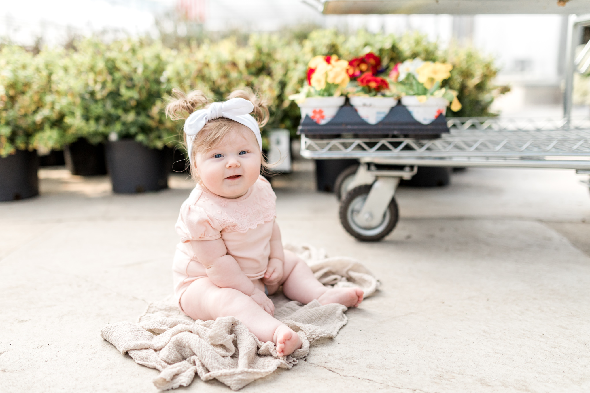 6 month baby girl milestone session at a greenhouse