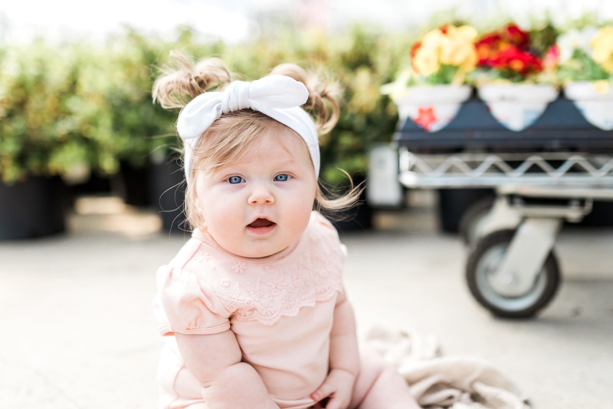6 month baby girl milestone session at a greenhouse