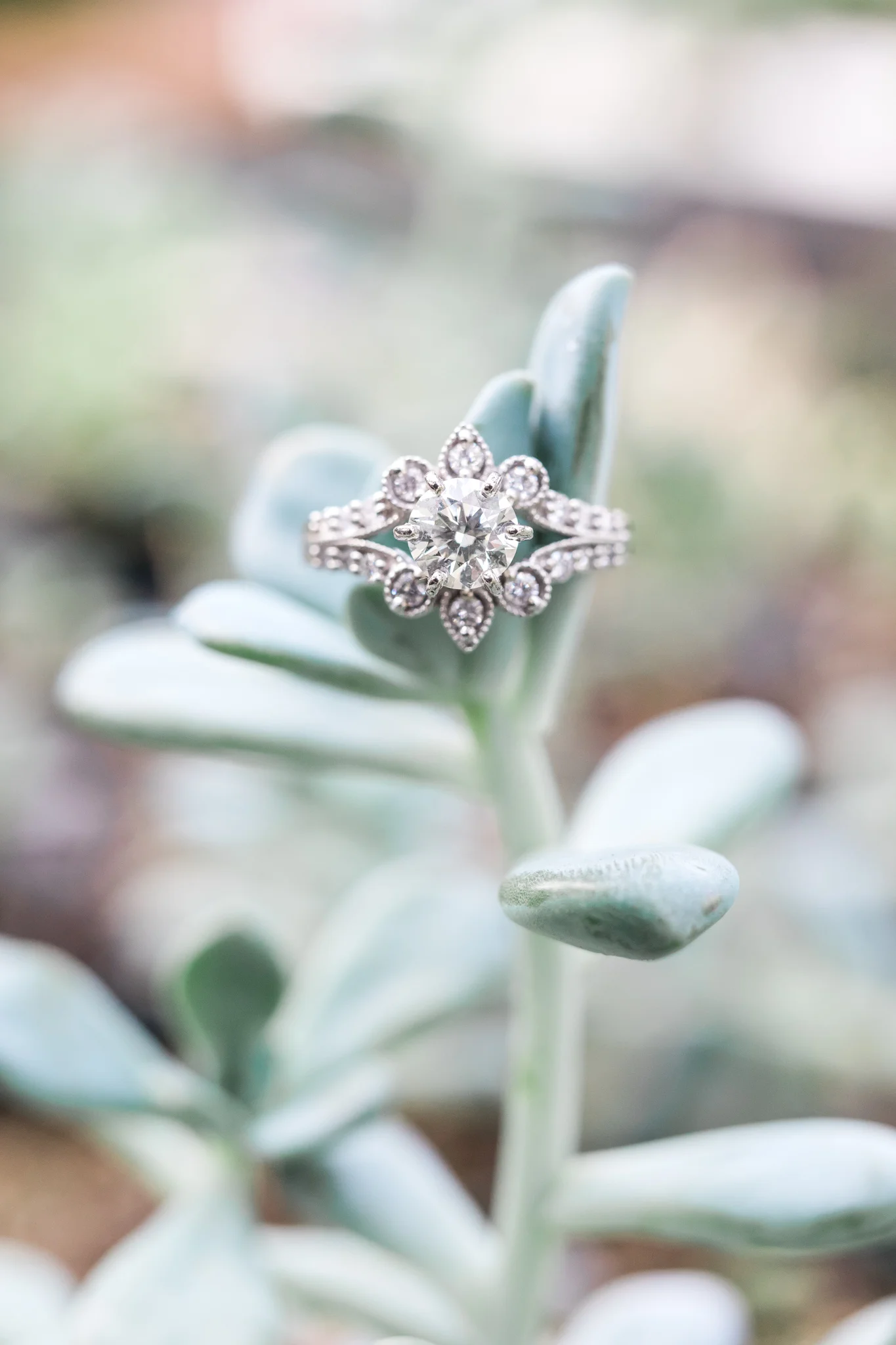 Grand Rapids Michigan Greenhouse Engagement Session