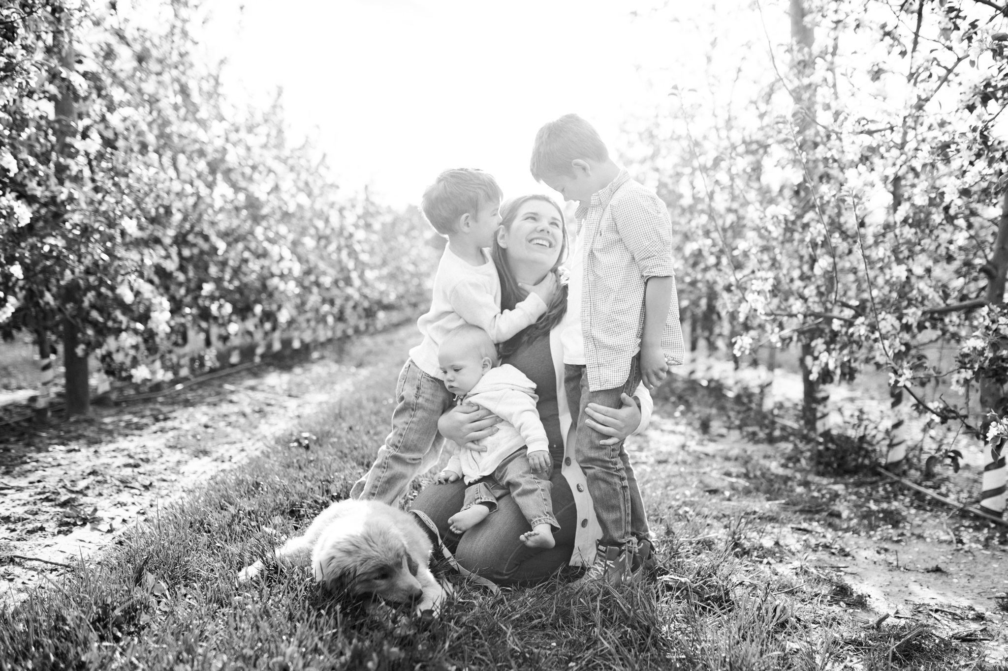 Family Mini Session | Brothers | What to Wear | Family Photos | Orchard with Spring Blooms | Laurenda Marie Photography