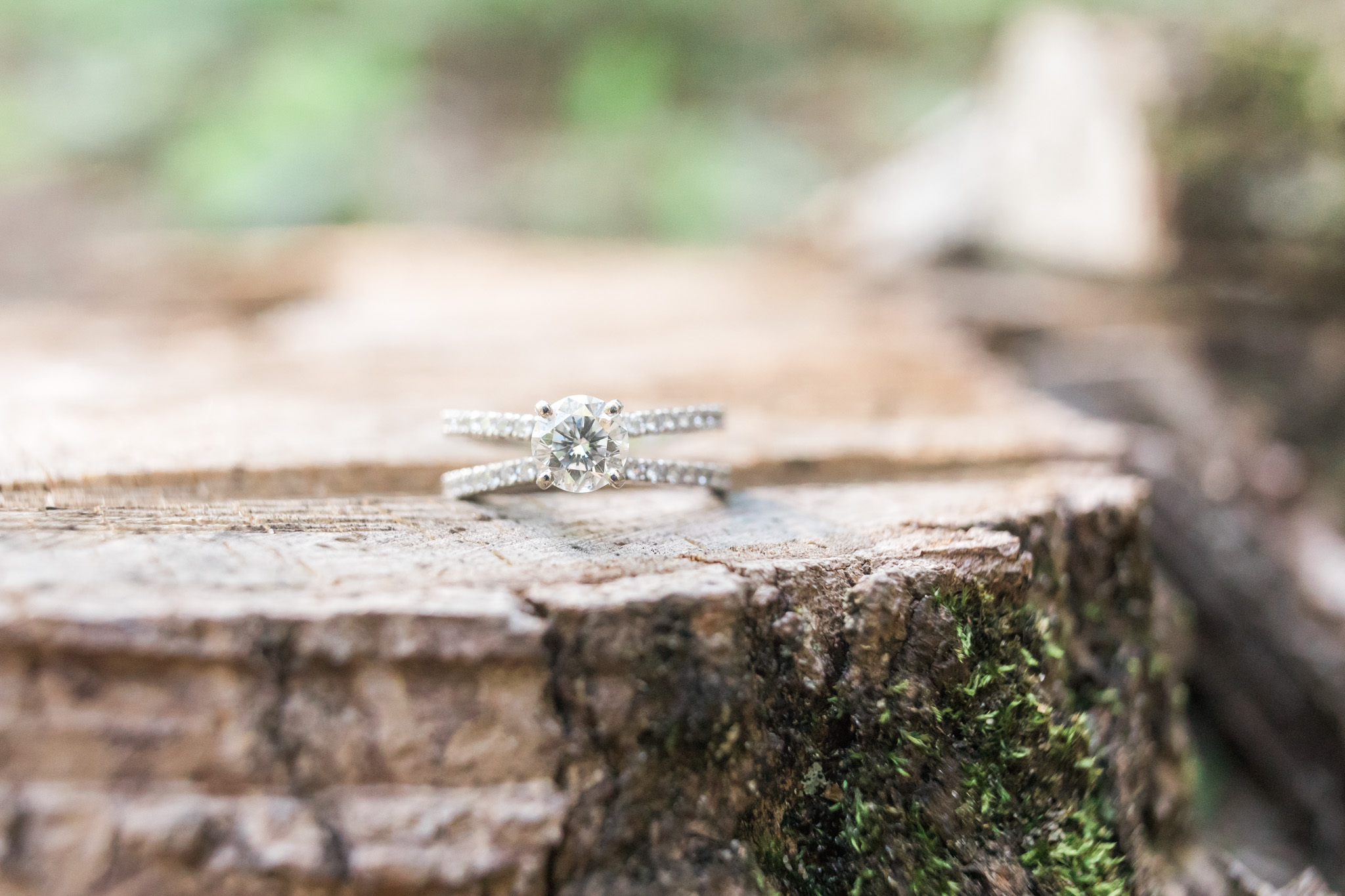 Beautiful Lakeshore beach engagement session in West Olive Michigan | Laurenda Marie Photography