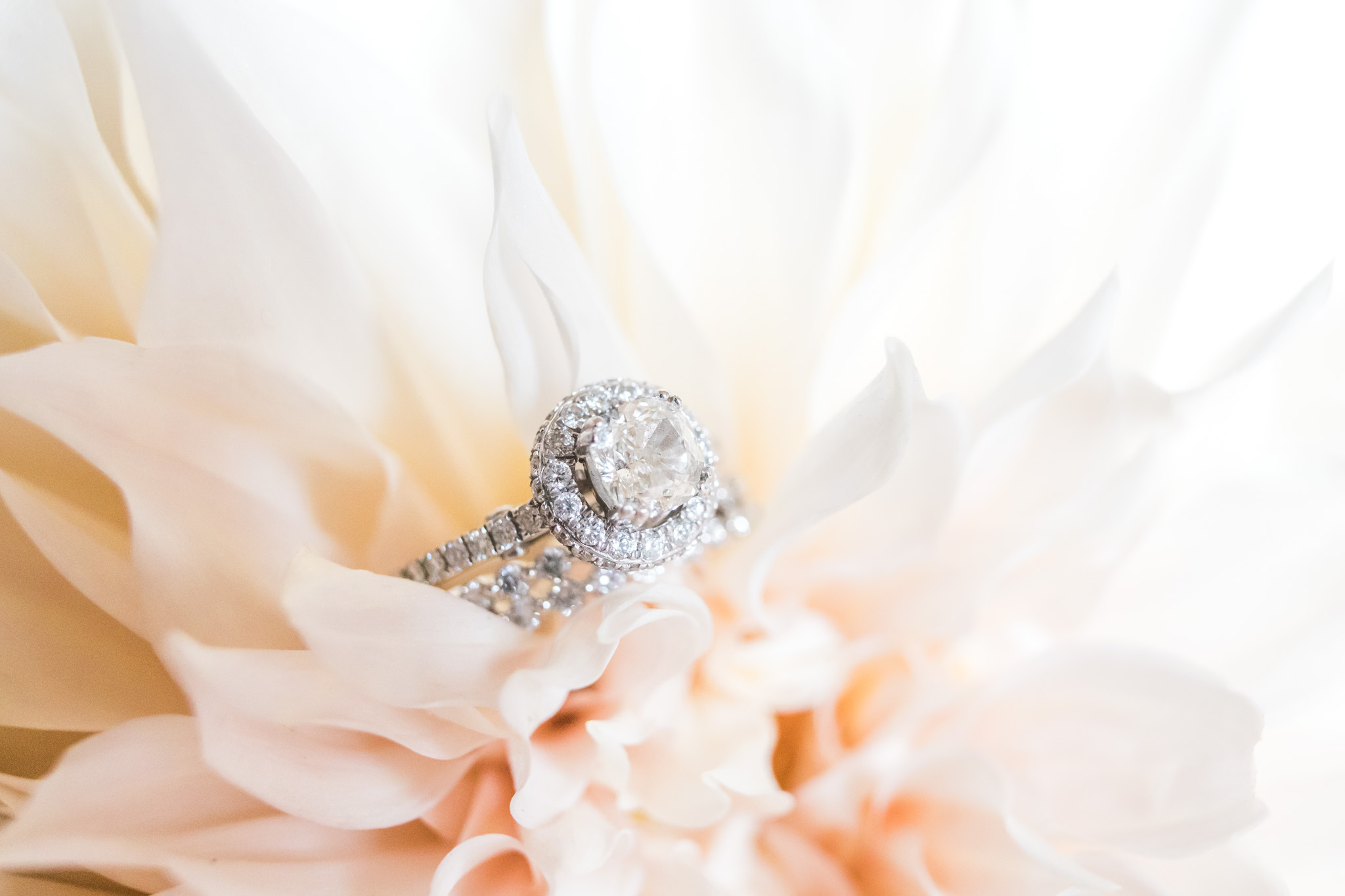 Nautical Dockside Michigan Wedding | West Michigan Wedding Photographer | Laurenda Marie Photography