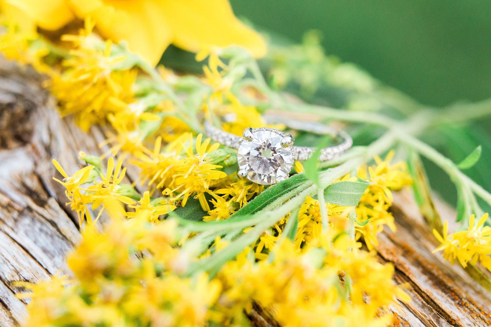 Romantic summer engagement session | Laurenda Marie Photography | West Michigan Wedding and Engagement Photographer
