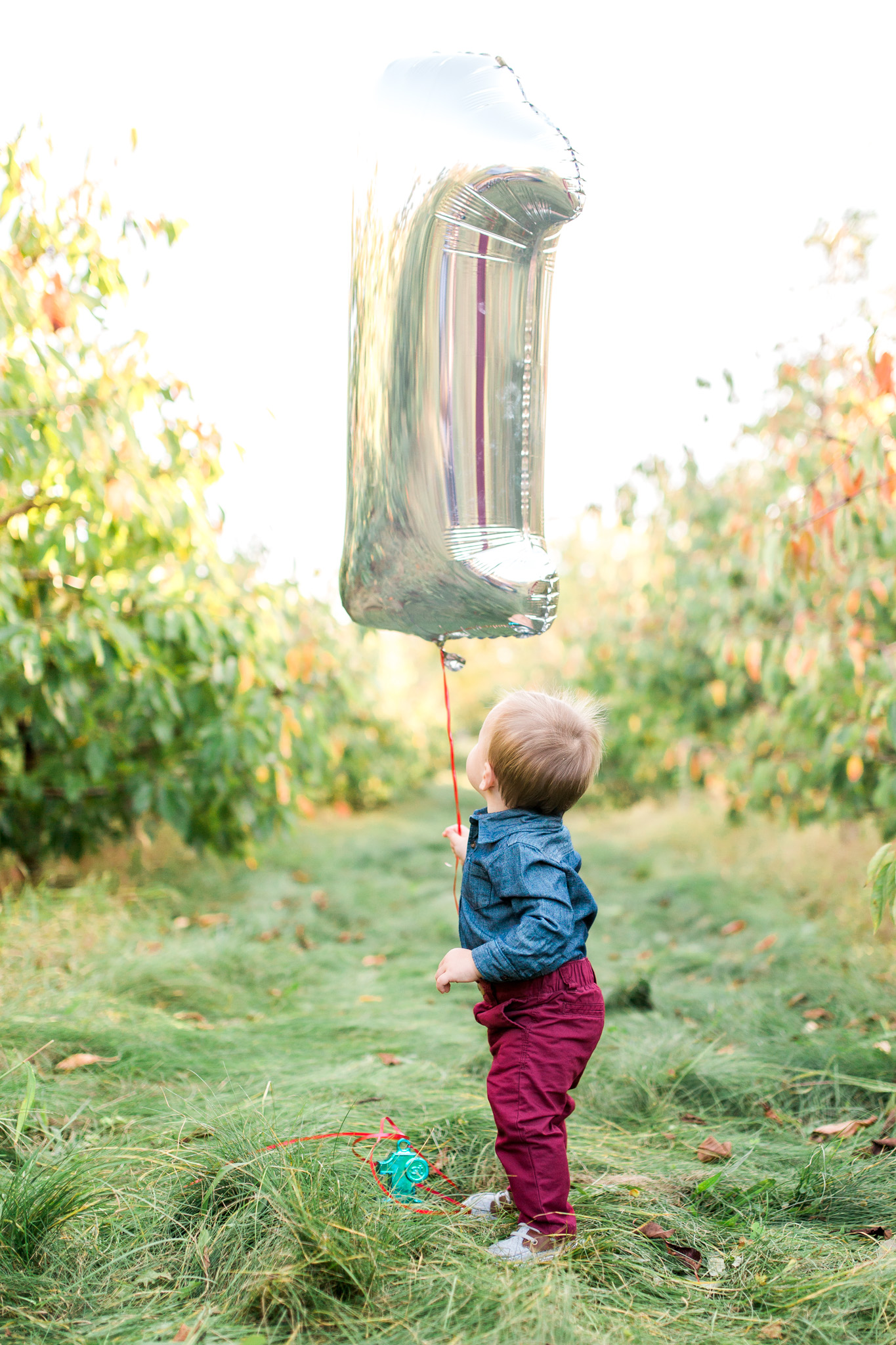 Fall Family Photos | Apple Orchard | Grand Rapids, Michigan