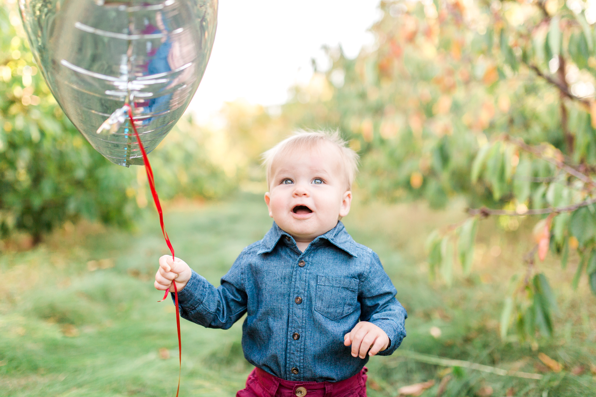 Fall Family Photos | Apple Orchard | Grand Rapids, Michigan