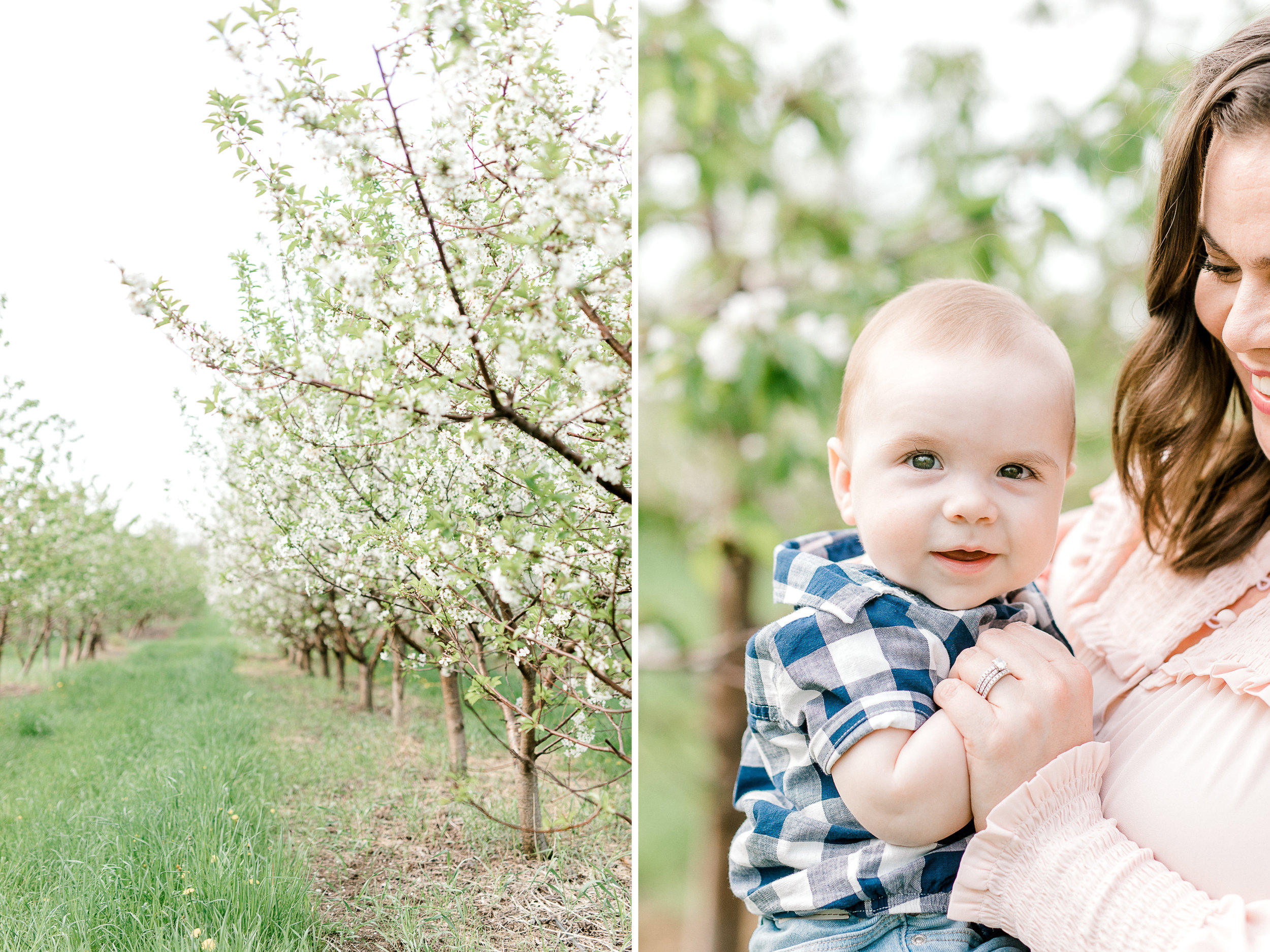 Spring Family Lifestyle Session at the Apple Orchard | Laurenda Marie Photography | Grand Rapids, Michigan