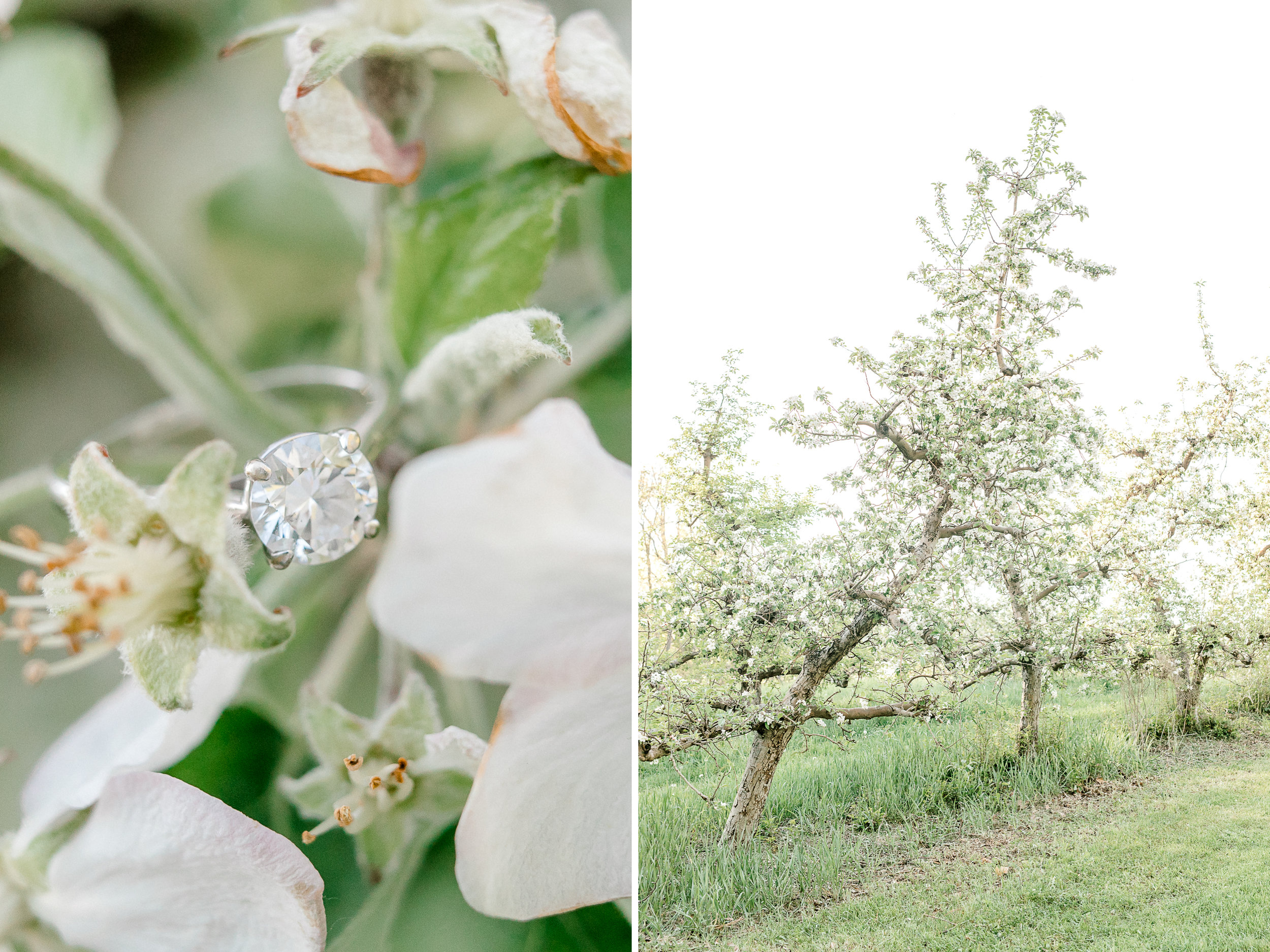 A sweet spring engagement session at the orchard | laurenda marie photography | west michigan weddings | west michigan engagement