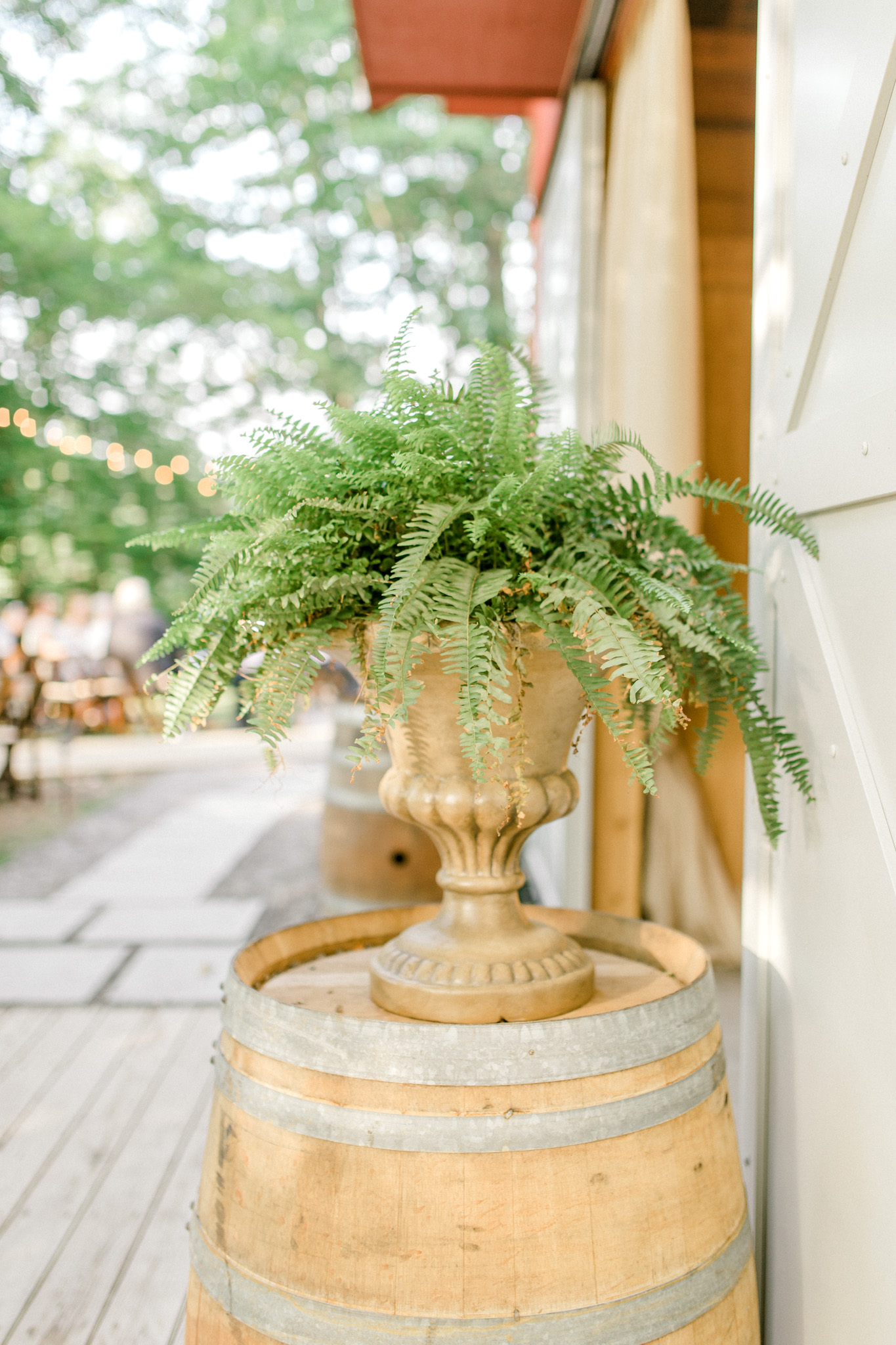 Fairytale Wedding In the Woods | Beauty and the Beast themed Wedding | Barn Wedding Reception | Low Back Wedding Dress | Light & Airy Wedding Photography | West Michigan Wedding Photographer
