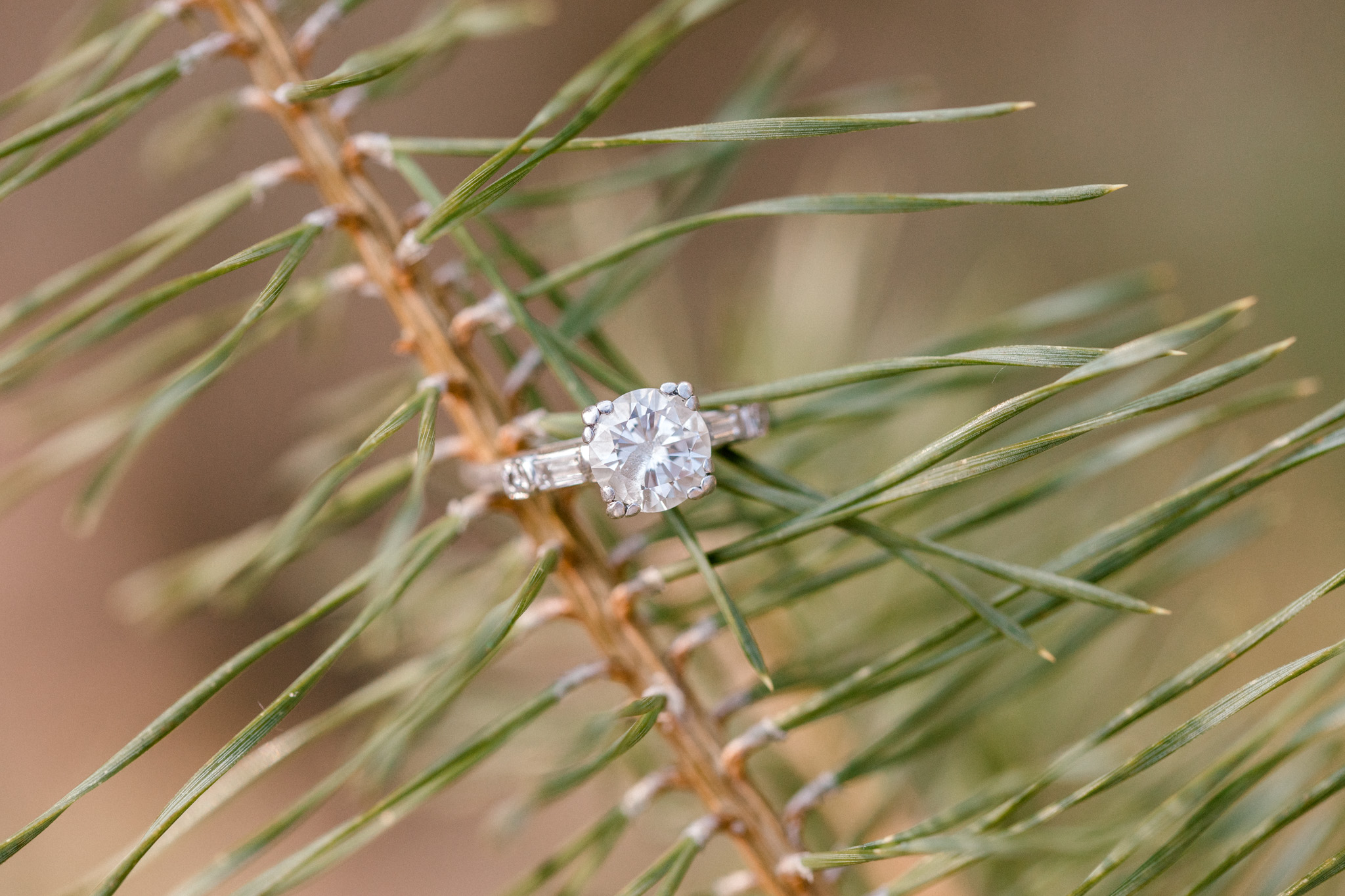 Light Filled Woodland Engagement Session | Light and Airy Photography | Film Inspired | West Michigan Wedding Photographer