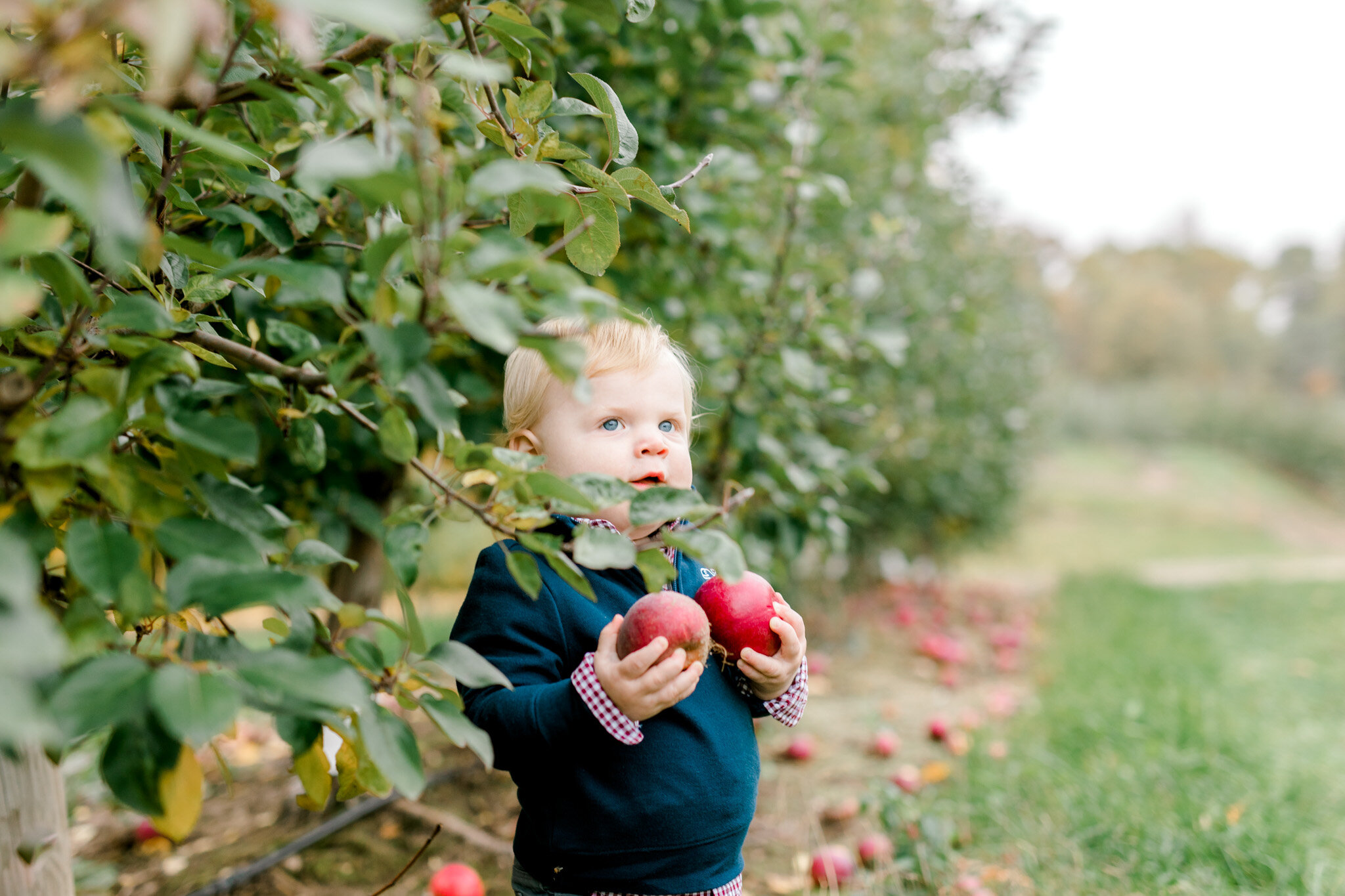 Colorful Fall Family Session at the Orchard | What to Wear for Fall Family Photos | Michigan Family Photographer