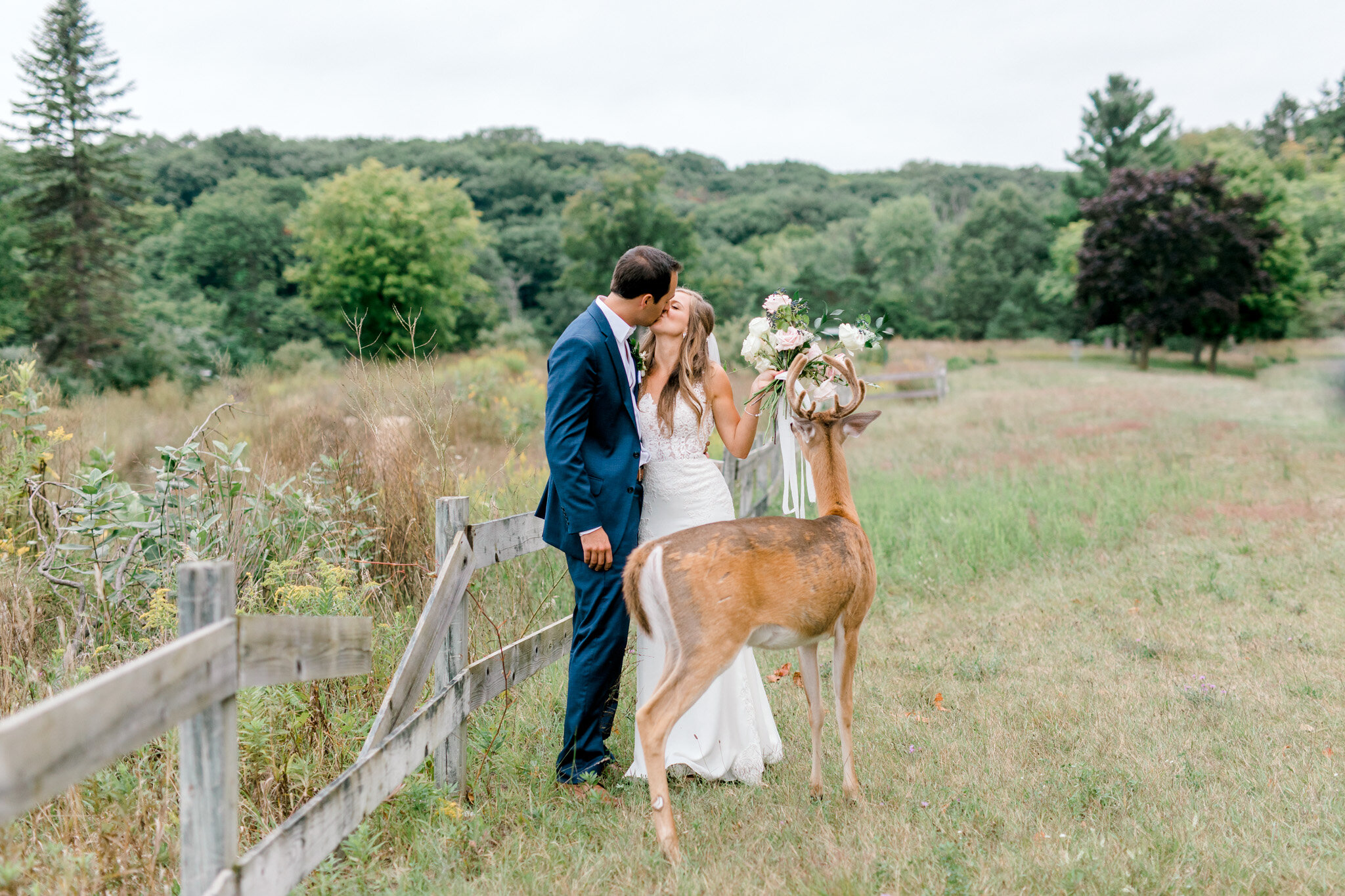 Outdoor Michigan Wedding at The Felt Estate | Wild deer photobombs golden hour portraits and eats the brides bouquet | Laurenda Marie Photography