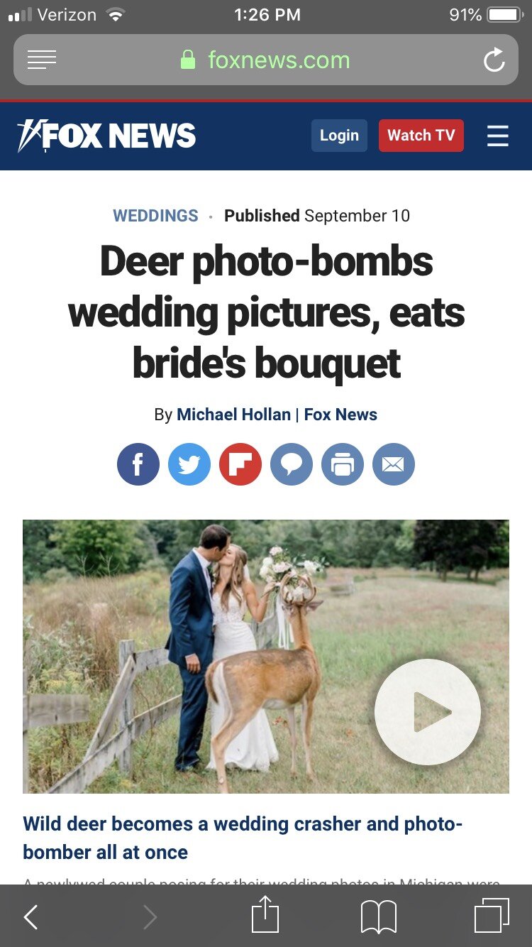 Fox News Deer Photobomb | Buck Eats Brides Bouquet | Laurenda Marie Photography