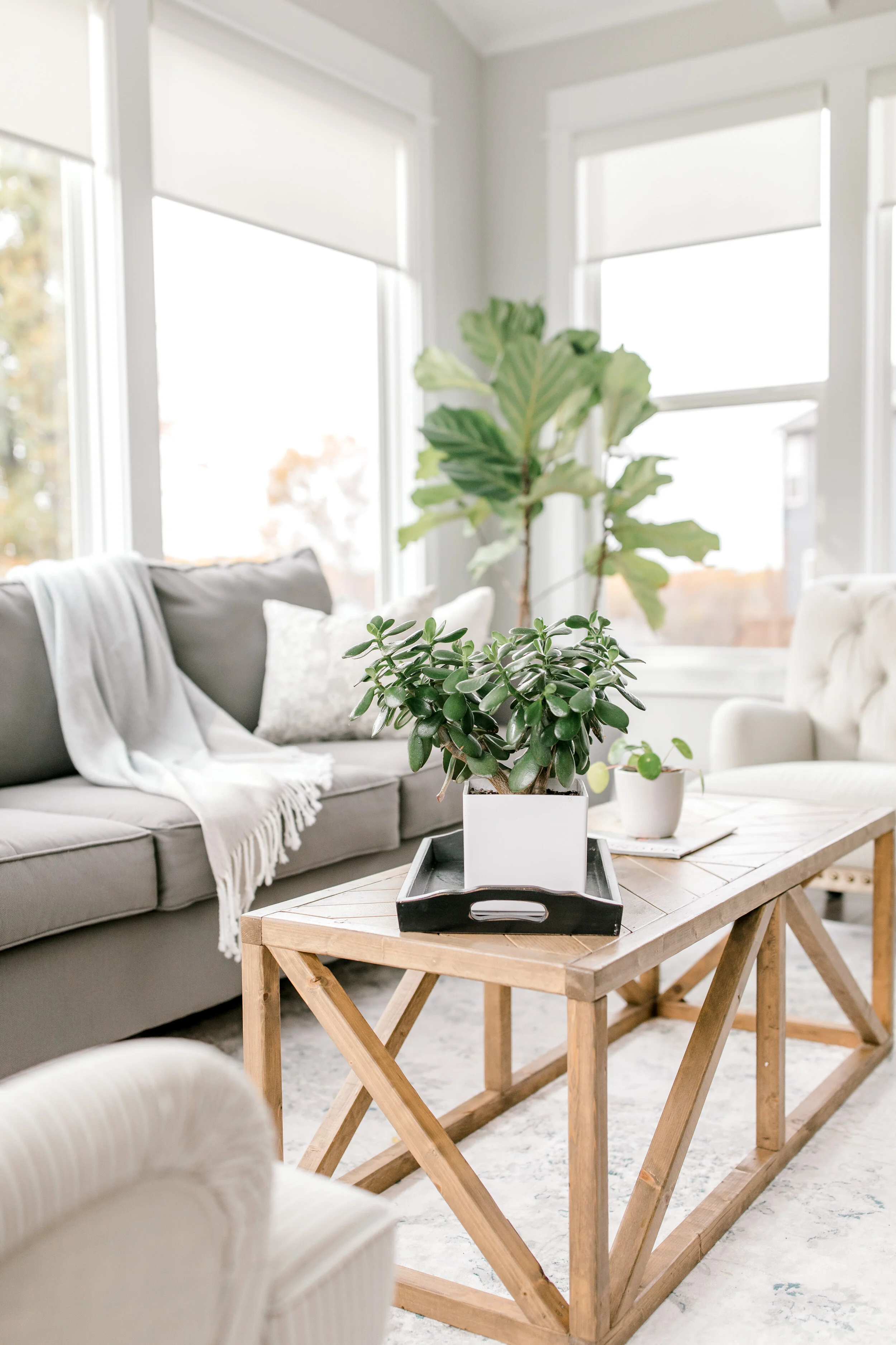 Sunroom with Plants