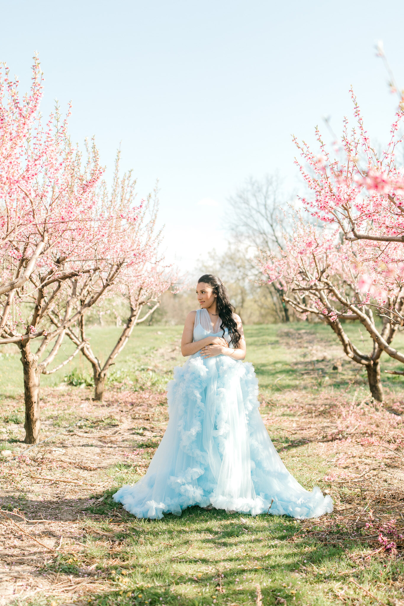 Spring Maternity Session in the Apple Blossoms | West Michigan Maternity Photographer