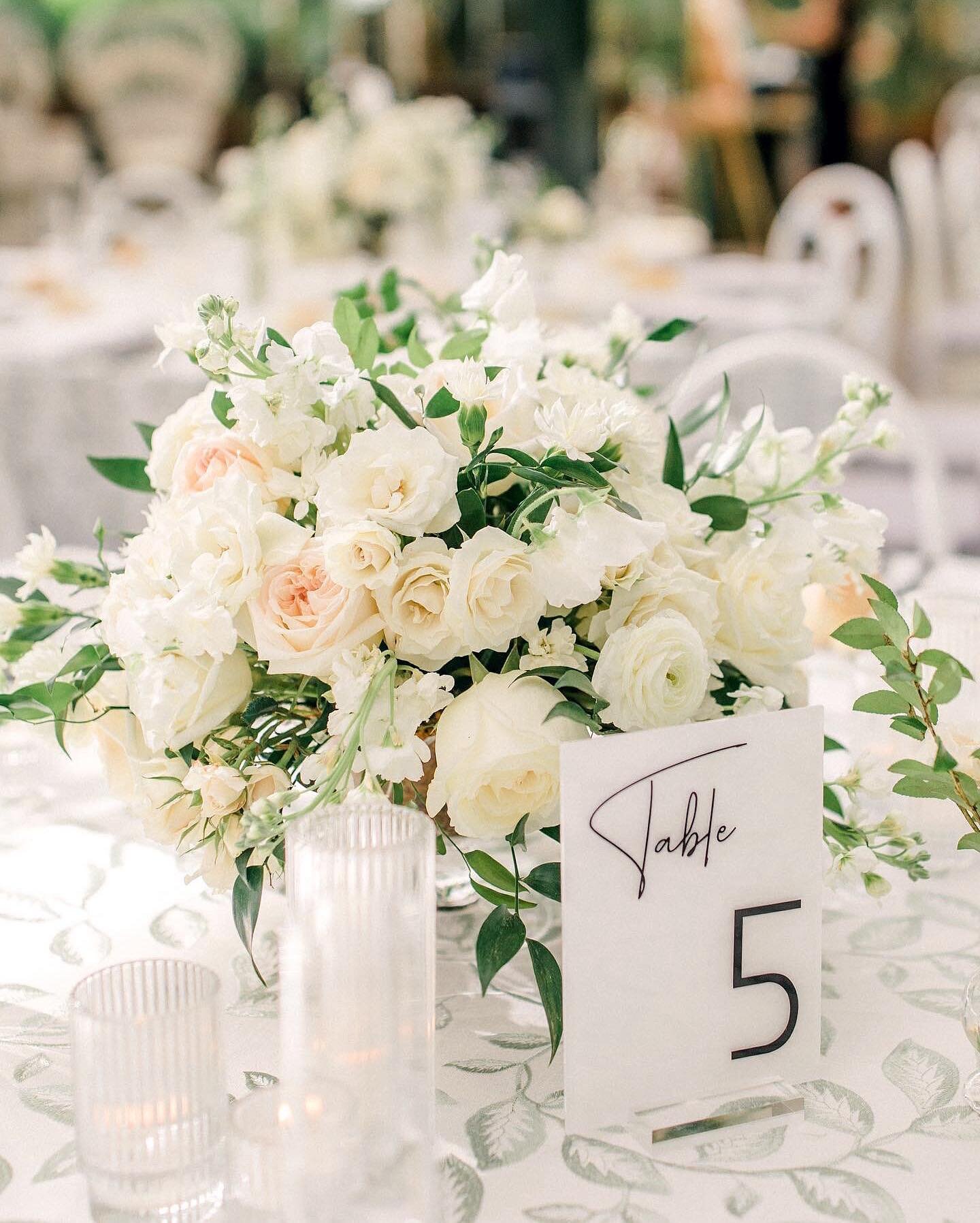 This Planterra Conservatory wedding had the most exquisite details! Even the table cloth was well thought out! 

#Laurendamariephotography #risingtide #grandrapidsweddingphotographer #westmichiganweddingphotographer #theprettyblog #stylemepretty  #la