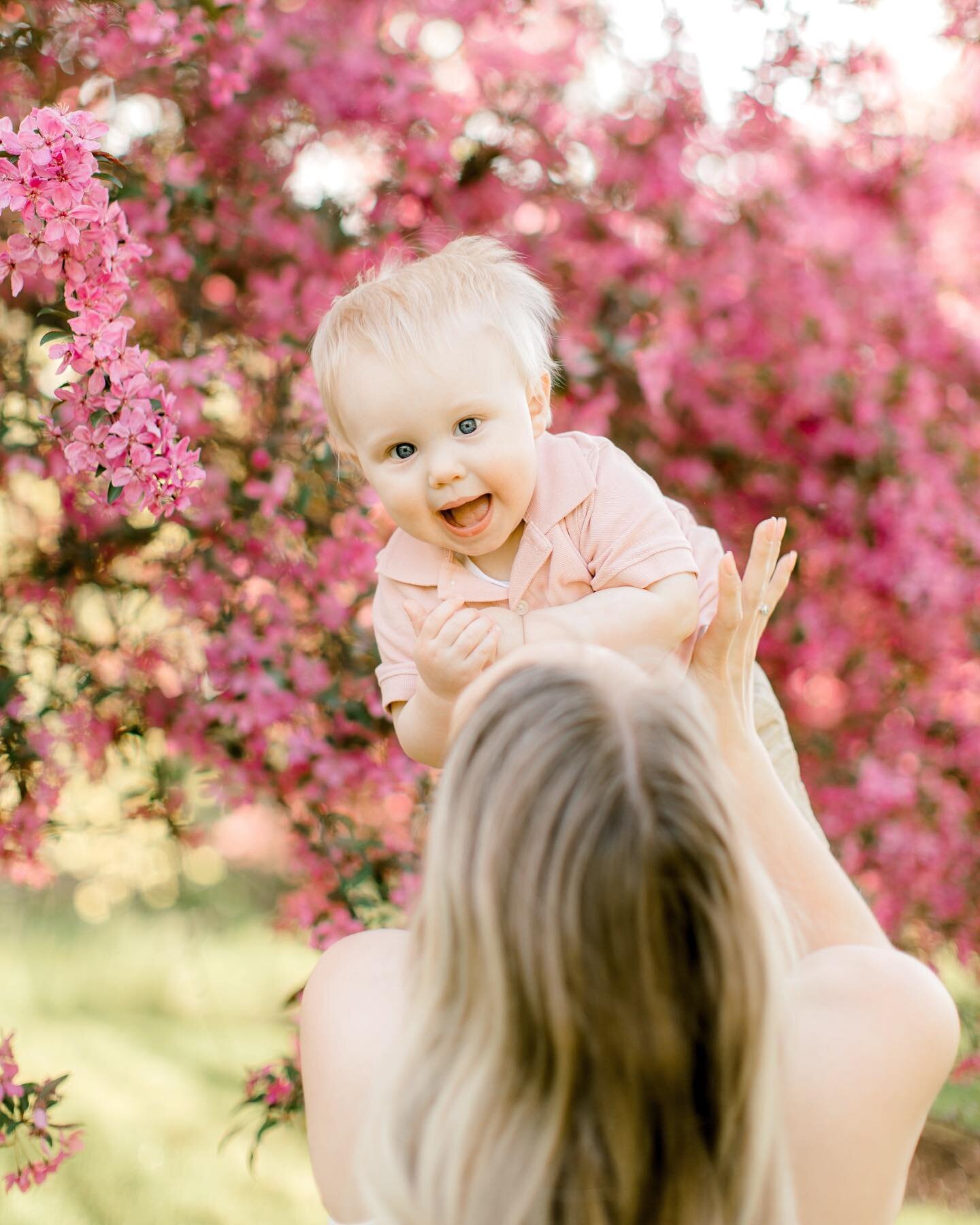 Two posts in one day but I couldn&rsquo;t resist getting this little cutie up on my feed!

Speaking of feed&hellip;it&rsquo;s beginning to get pretty colorful! Thank you Springtime!!

#Laurendamariephotography #theprettyblog #ig_kids #instakids #thef