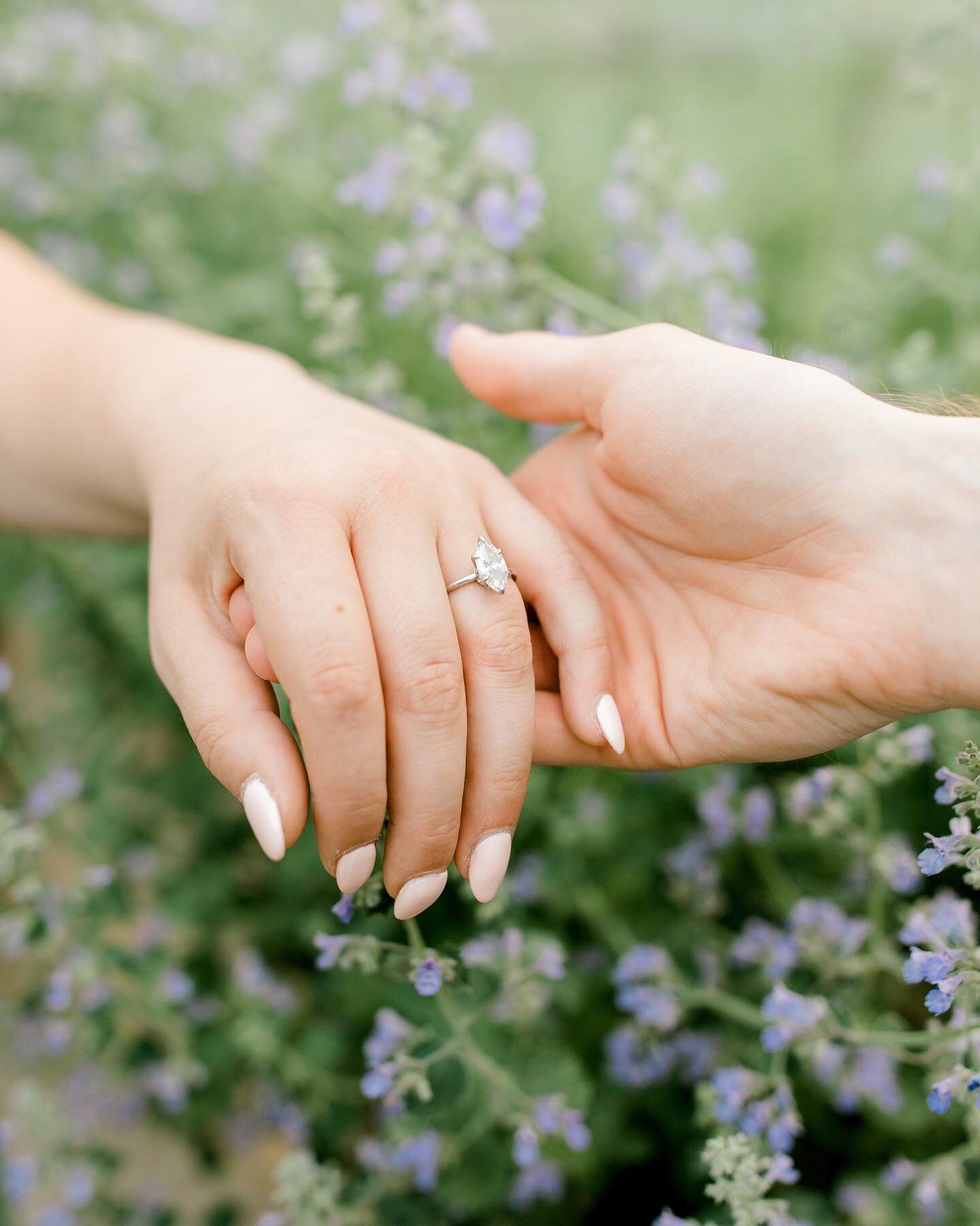 Sneak peek of Jessica &amp; Nick&rsquo;s engagement at the @glasshousecommunity. 🪴 

Looking forward to creating more magic at @etrefarms next summer! 

#Laurendamariephotography #risingtide #grandrapidsweddingphotographer #westmichiganweddingphotog