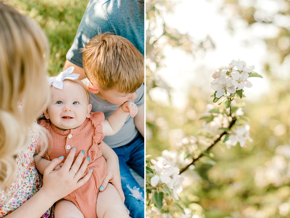 Apple Blossom Family Session in Michigan | Family of 4 Wardrobe | Laurenda Marie Photography