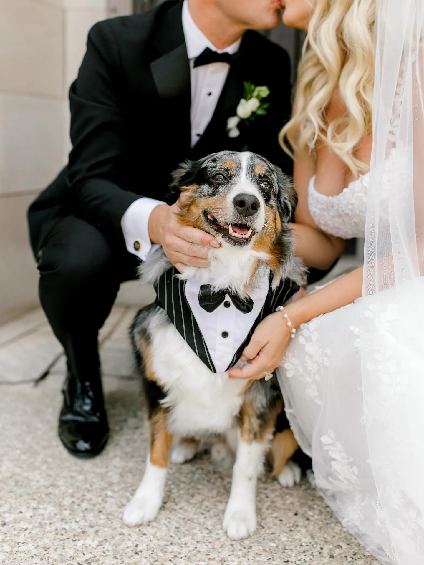 100% you should include your fur baby in your wedding day. 🐶 🥹

#Laurendamariephotography #risingtide #grandrapidsweddingphotographer #westmichiganweddingphotographer #theprettyblog #stylemepretty  #laurendamariebrides #naturallightphotographer #li