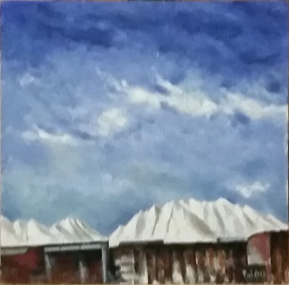 Salt HIlls.jpg