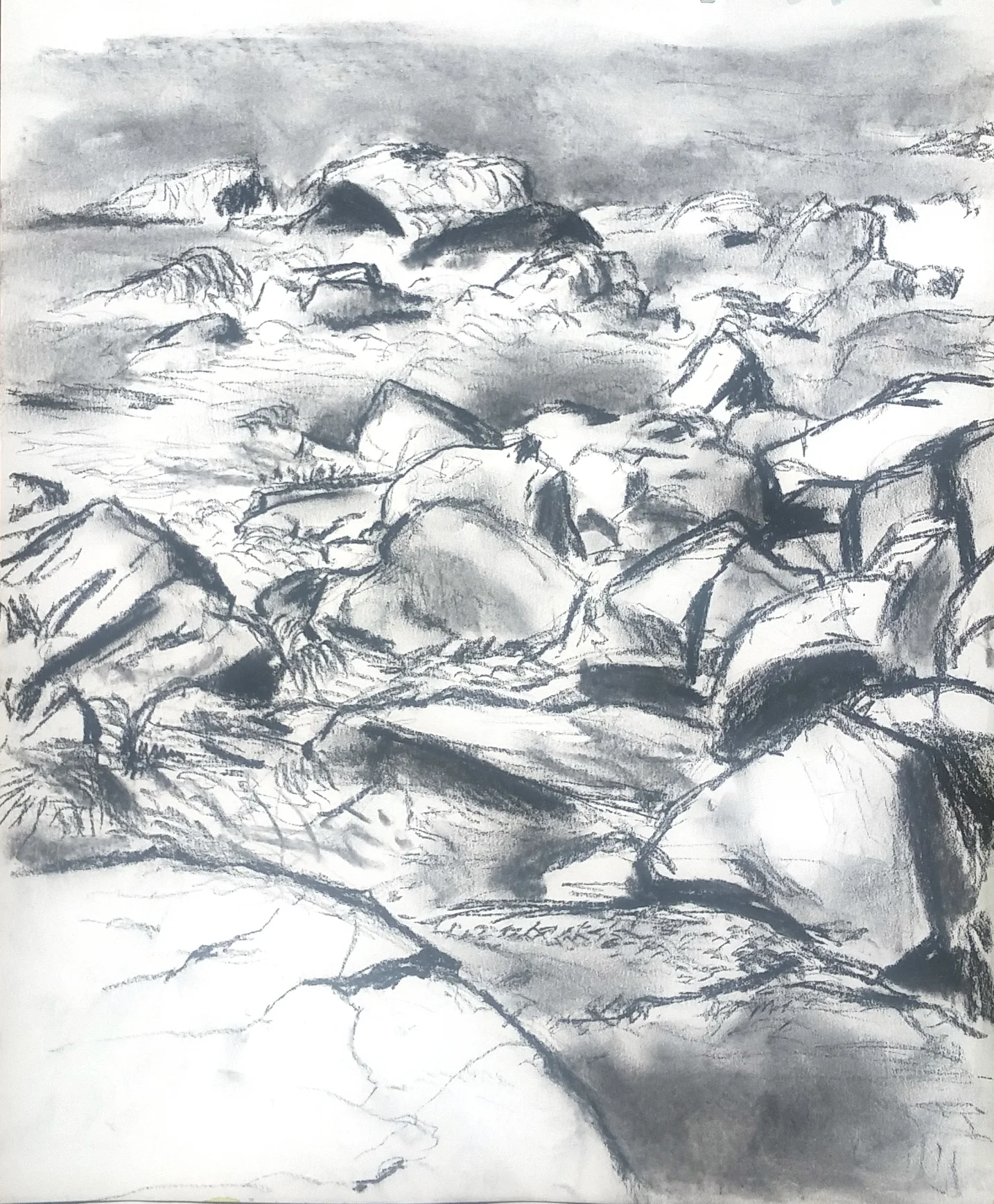 Tidal Rocks.jpg