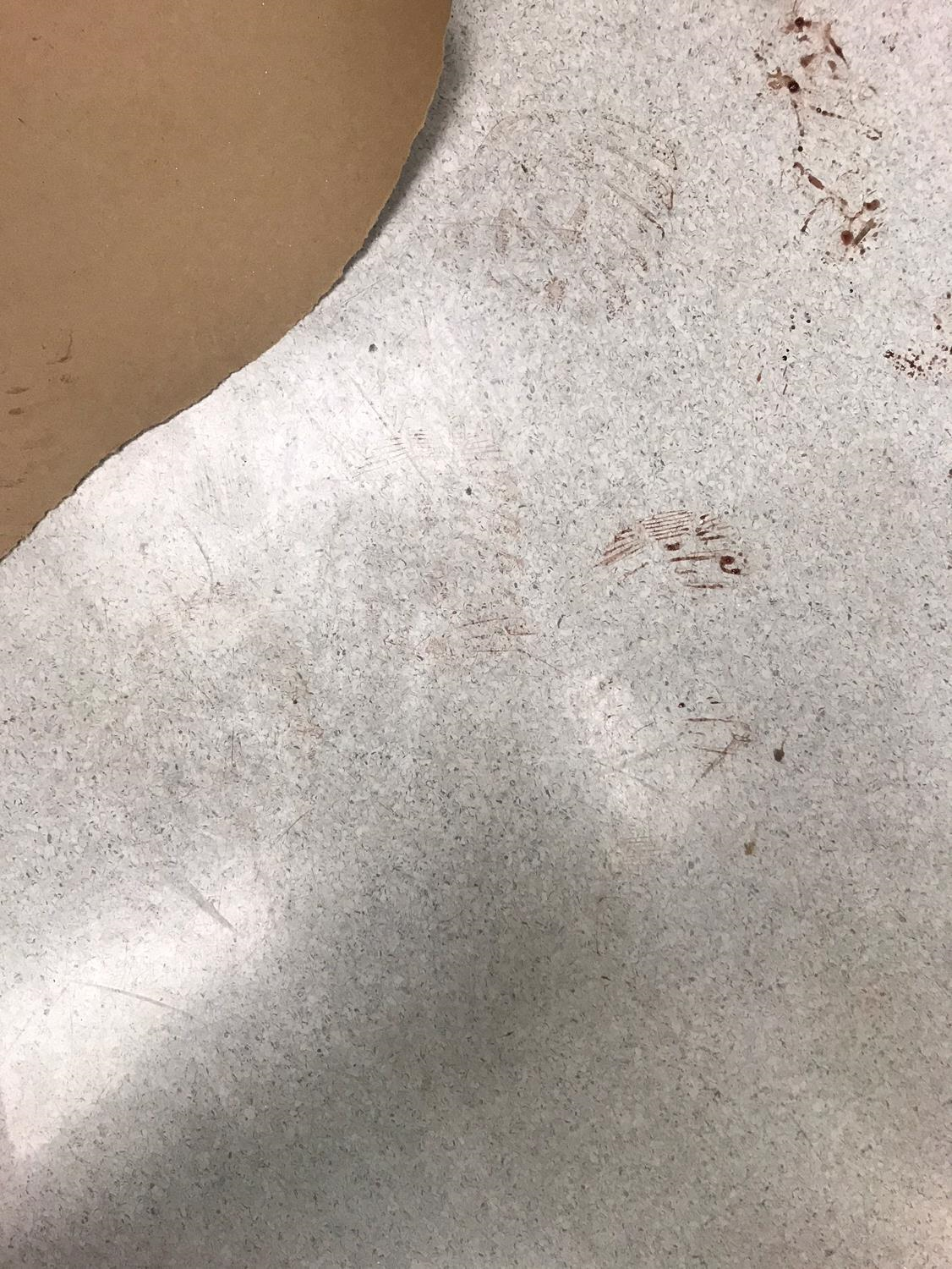 Bloody footprints before applying Sciluminate powder. Image provided by Latent Forensics.