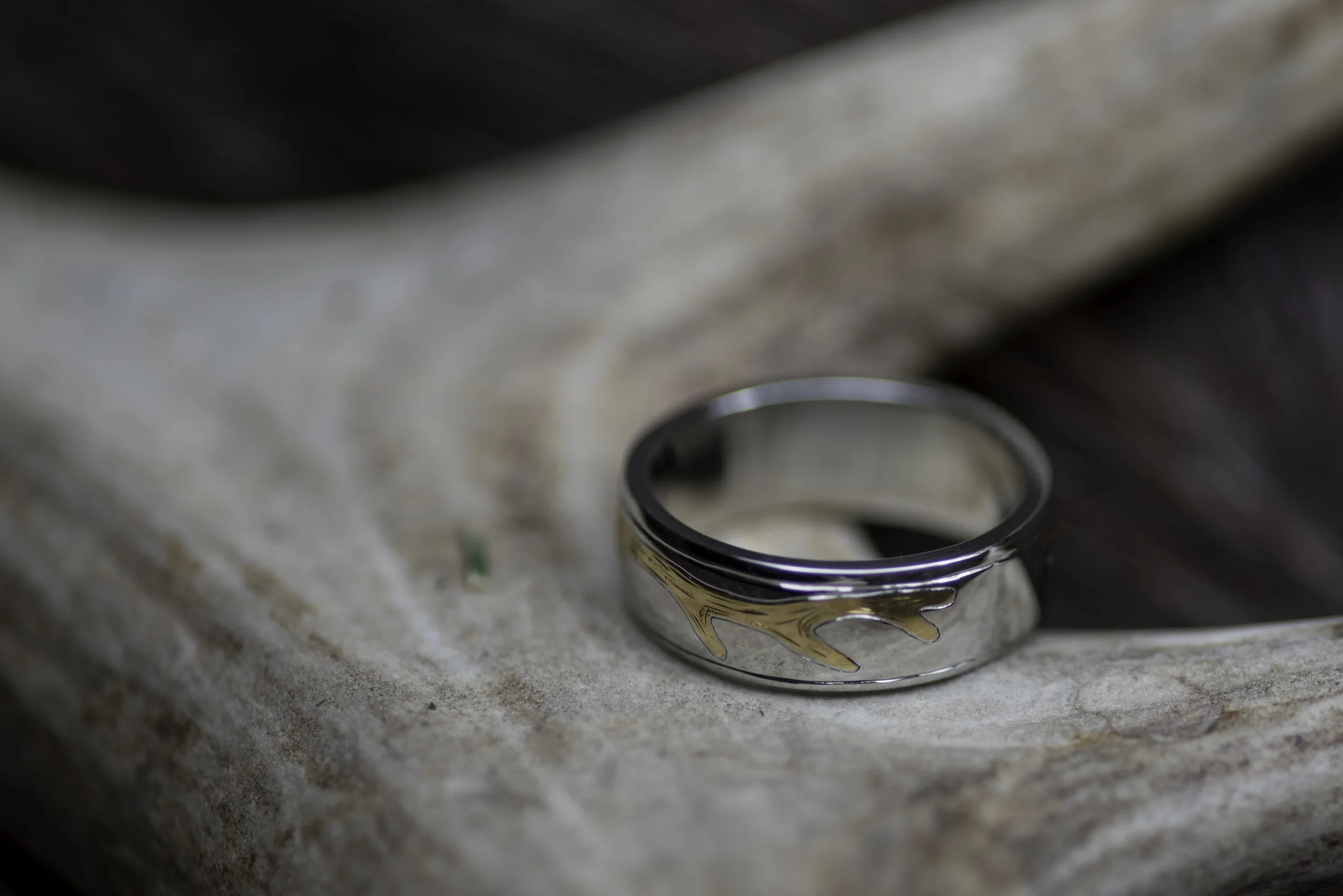 Mary Dyk Artist - Antler Wedding Ring