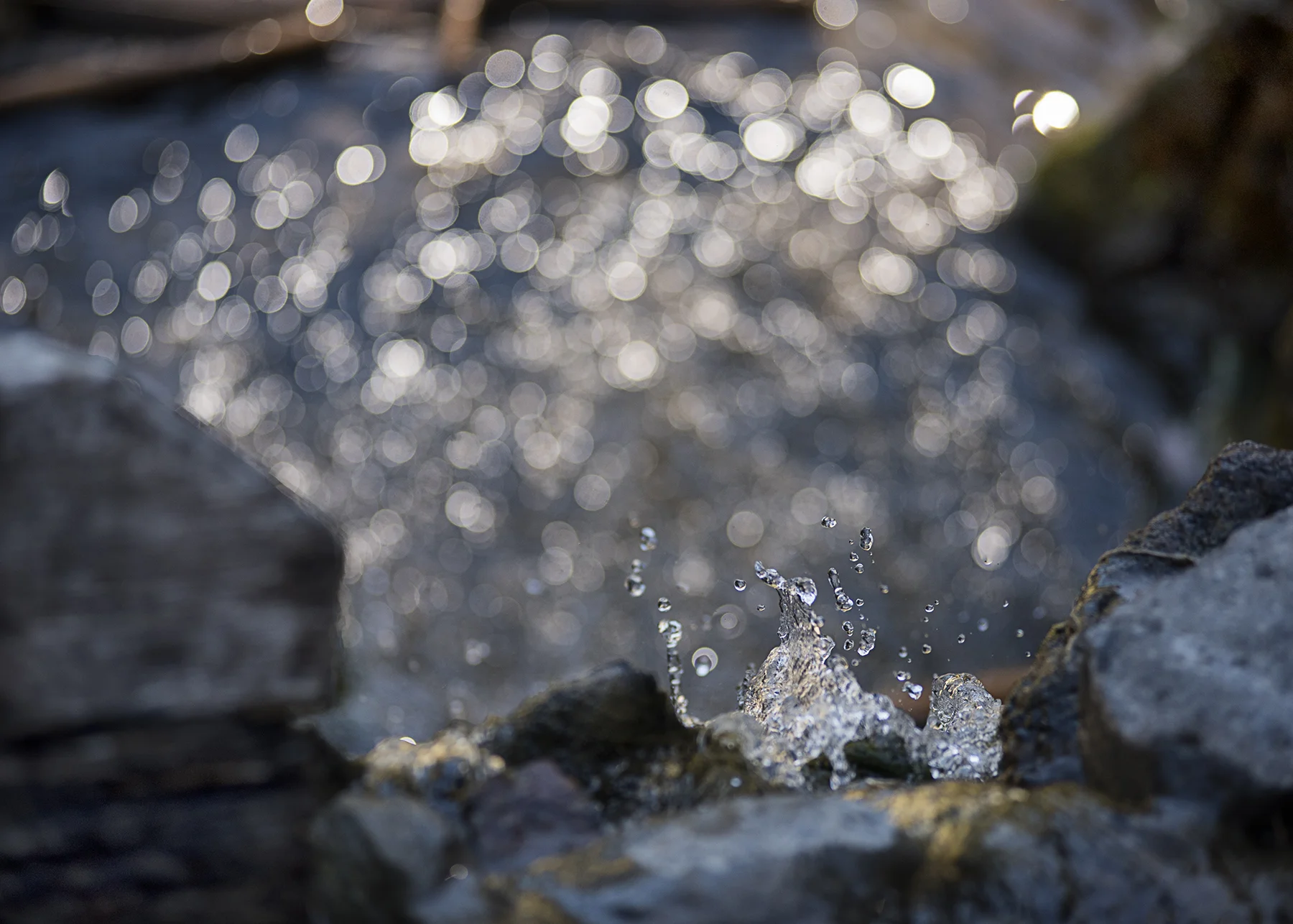wiles_water.jpg