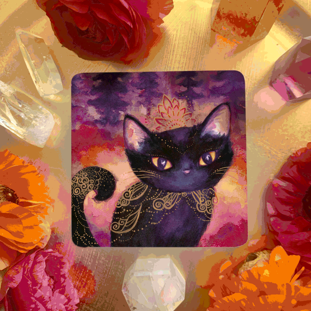 Witch Cats Oracle Deck — Nicole Piar