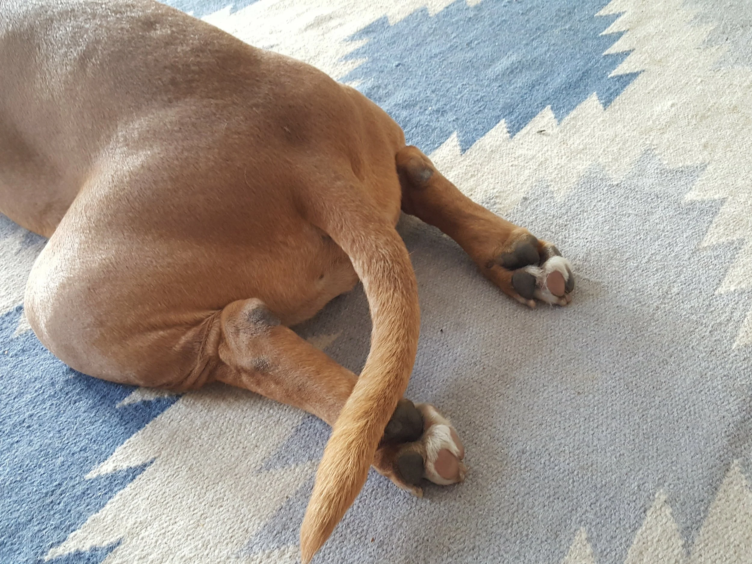 20170305_094217.jpg