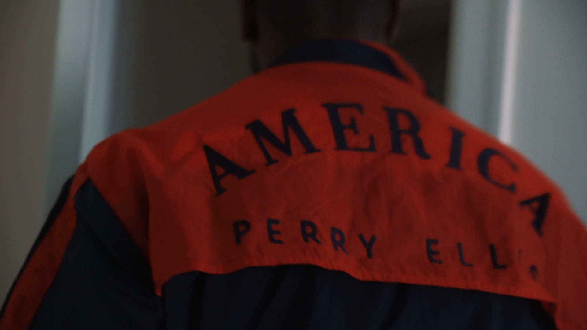 perry ellis .png