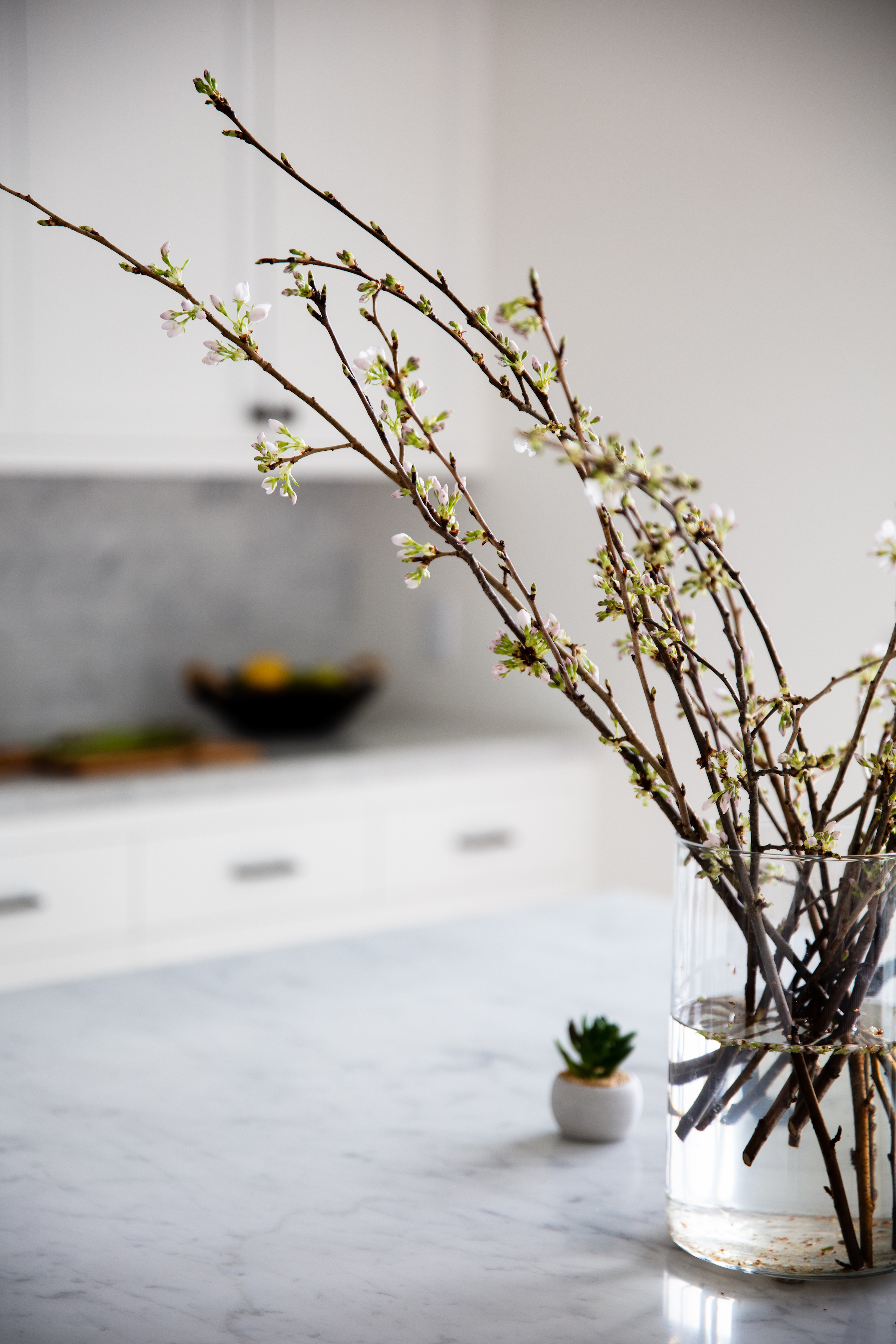 JLInteriorDesign_Kitchen3.jpg