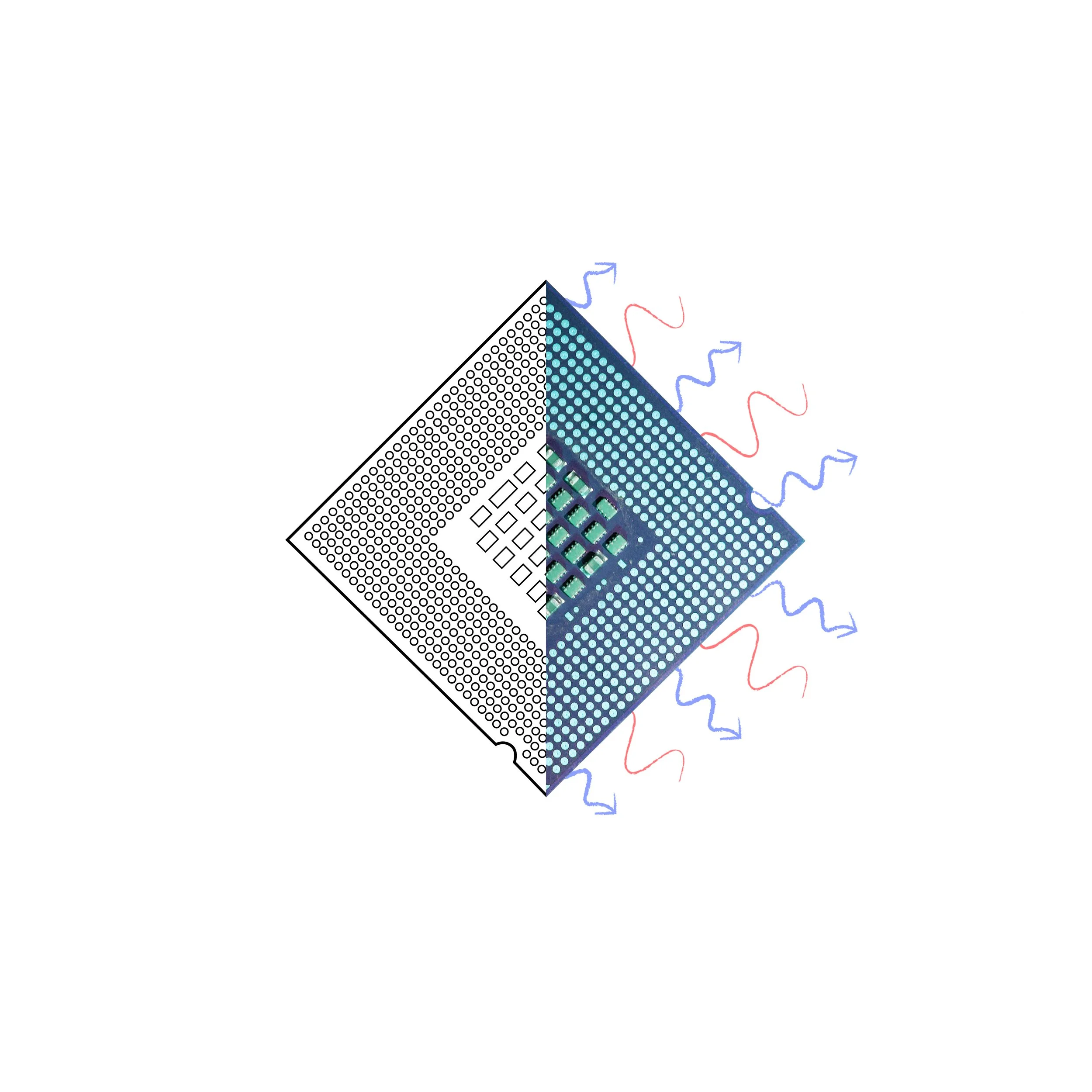 Swellfox Chip6B.jpg