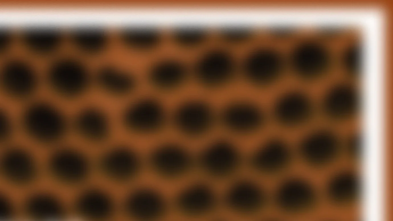 THE-WASP-V3.jpg