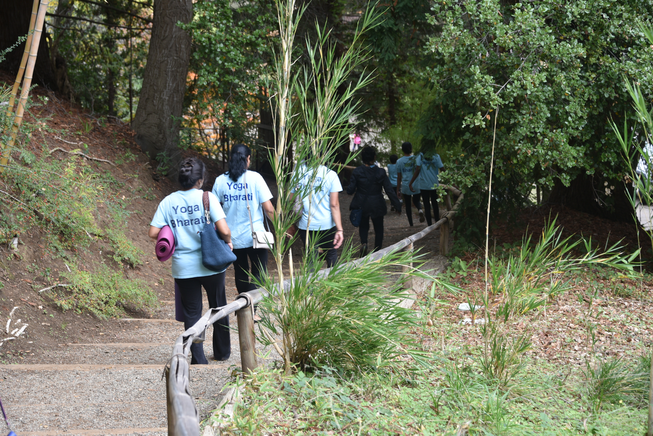 YB Going Up The Bridge Hakone Large (1).png