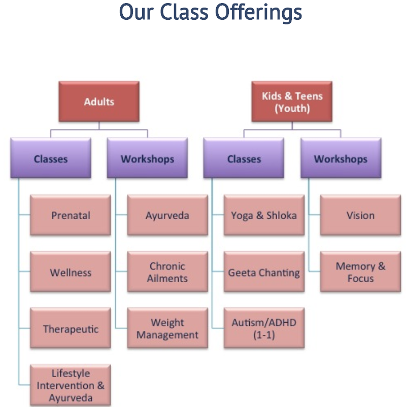 Call us to set up in depth comprehensive yoga therapy consultation and yoga therapy sessions at 408 341 9642 , hurry since we have limited availability!