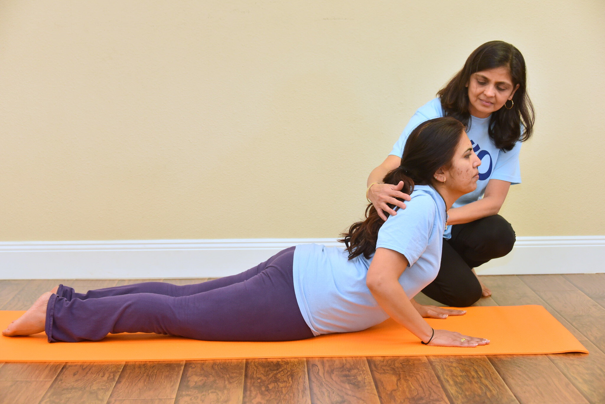 Dallas Yoga Therapy — Yoga Bharati