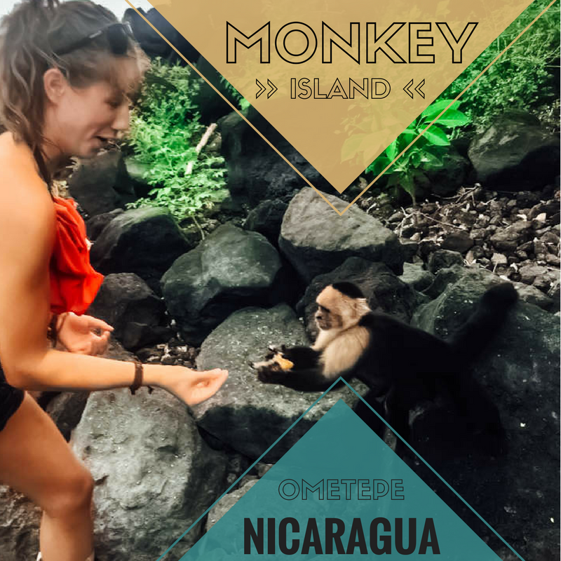 Monkey Island, Ometepe, Nicaragua