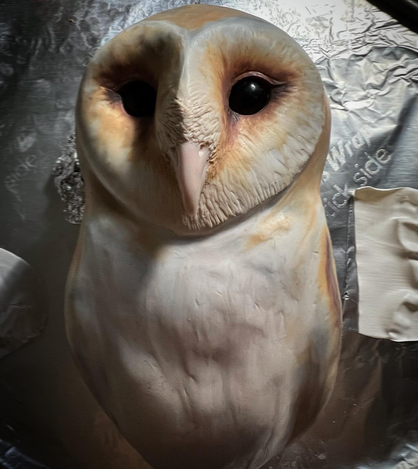 Making slow progress on my owl for &lsquo;Modern Mythos&rsquo; opening at @valkariegallery next month. I&rsquo;m working on at least eight other pieces for the show at the moment and can&rsquo;t wait to share what all I&rsquo;ve been up to! The show 