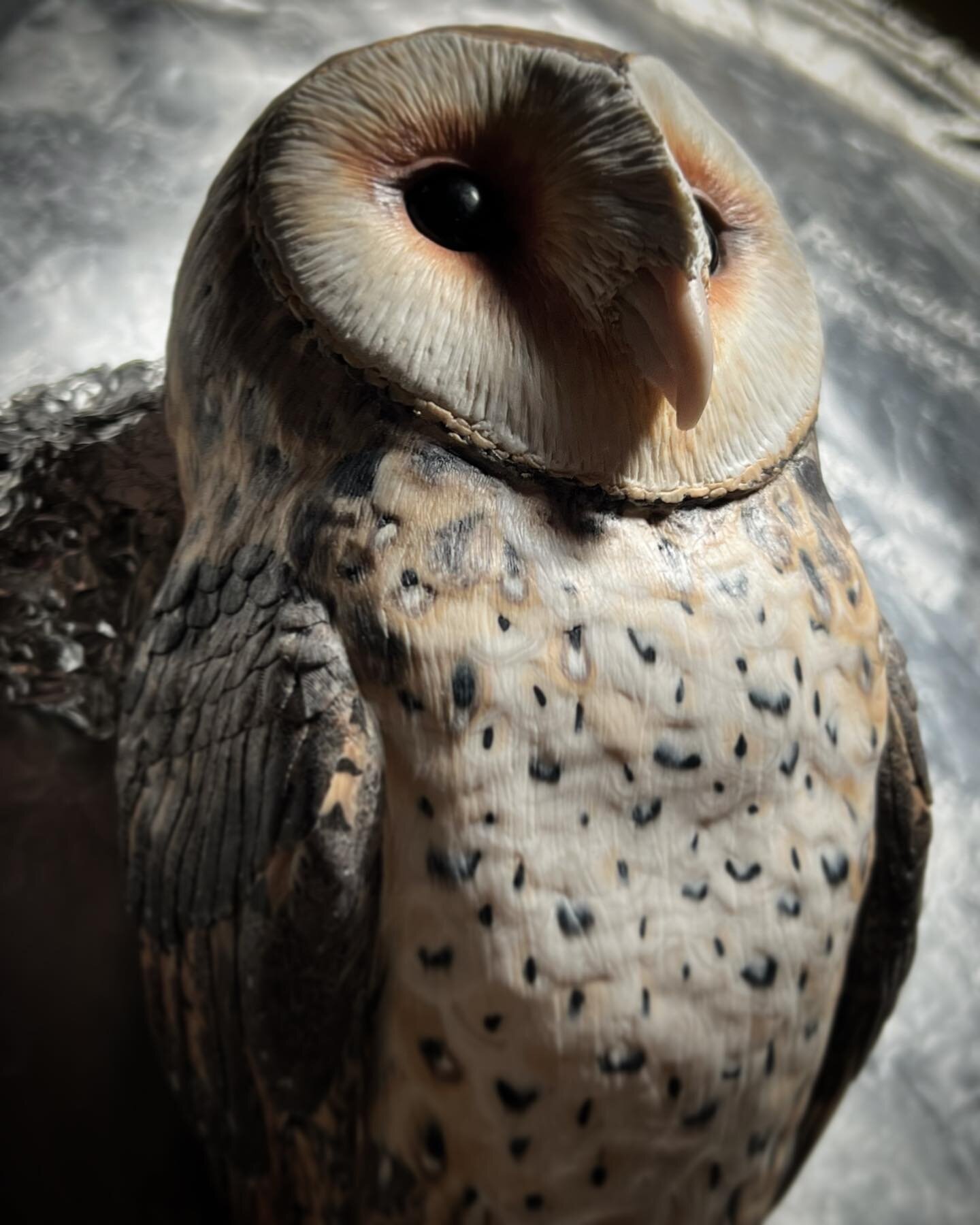 Getting ready to bake this guy, fingers crossed he comes out okay! There&rsquo;s a bit more to do, but he&rsquo;s nearly finished. I can&rsquo;t wait to show you the whole piece!

#wip #sculpture #owl #polymerclay #cosclay #paperfauna