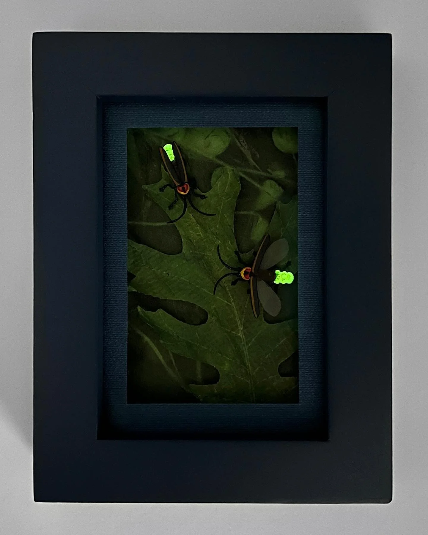 This is the last week for &lsquo;Cornucopia&rsquo; at @valkariegallery. These fun fireflies are still looking for good homes! They are miniature windows to the woods at just 3.5&rdquo; x 4.5&rdquo; with glow in the dark fireflies and paper oak leaves