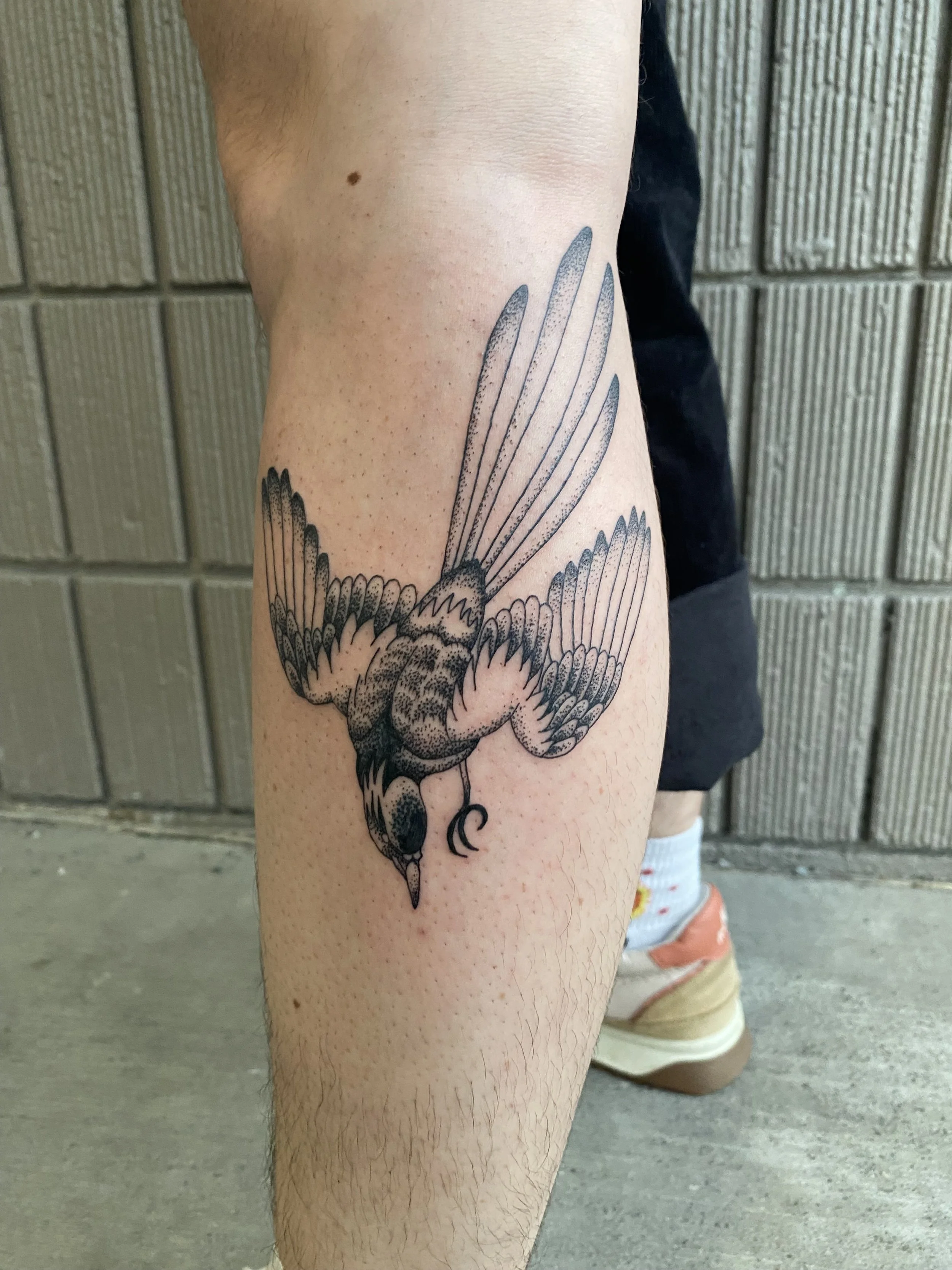 IMG_0121.jpeg